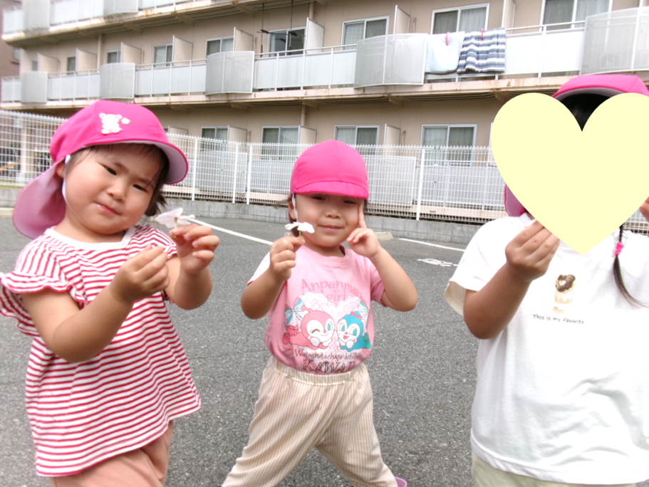 さつまいもの葉っぱをきれいにしたよ♪
