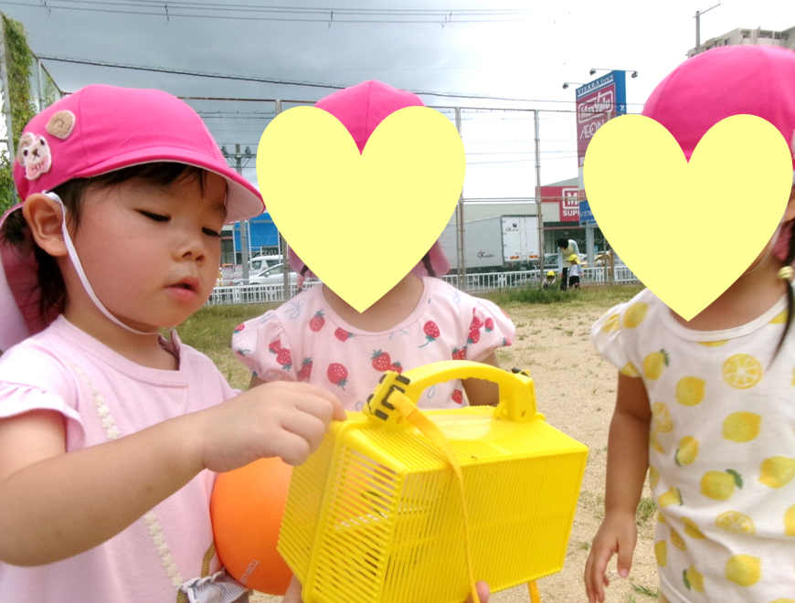 駅の近くで見つけたバッタを、広場で観察しました!虫カゴを覗き込み、「大きいね!」とお友だち同士でお話していましたよ(• ▿ ‹ )-⋆。·