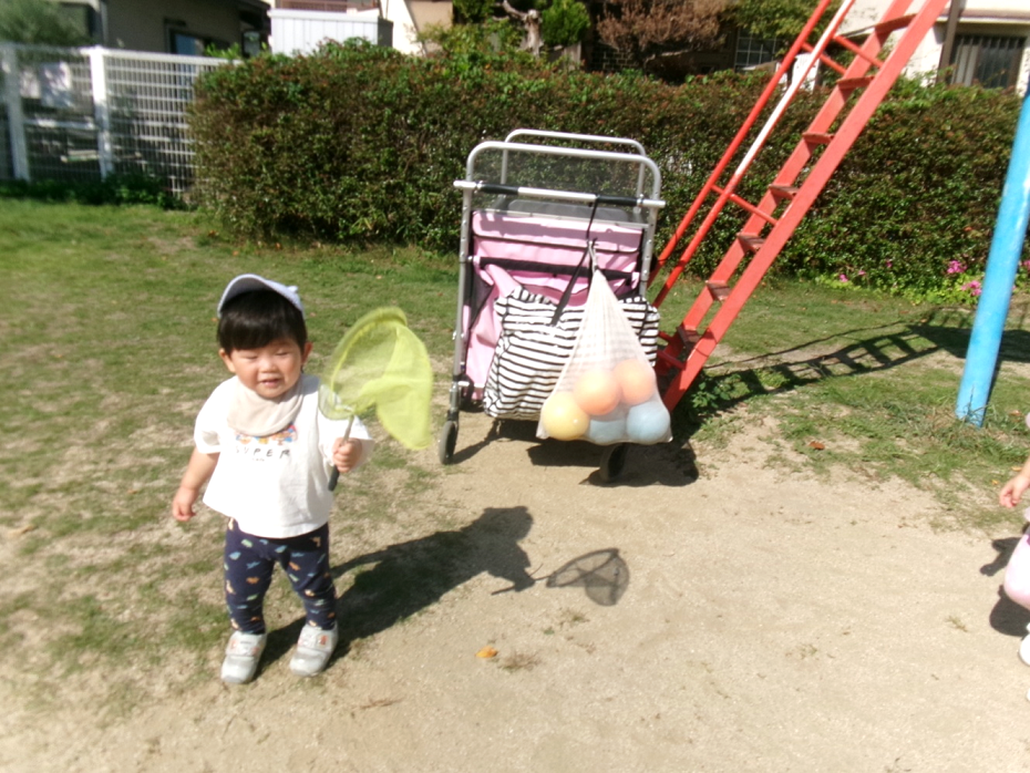 小さな手で虫取り網を持って、準備万端ヾ(＠⌒ー⌒＠)ノ