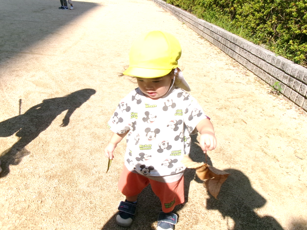 こんなに大きな落ち葉を見つけたよ!!