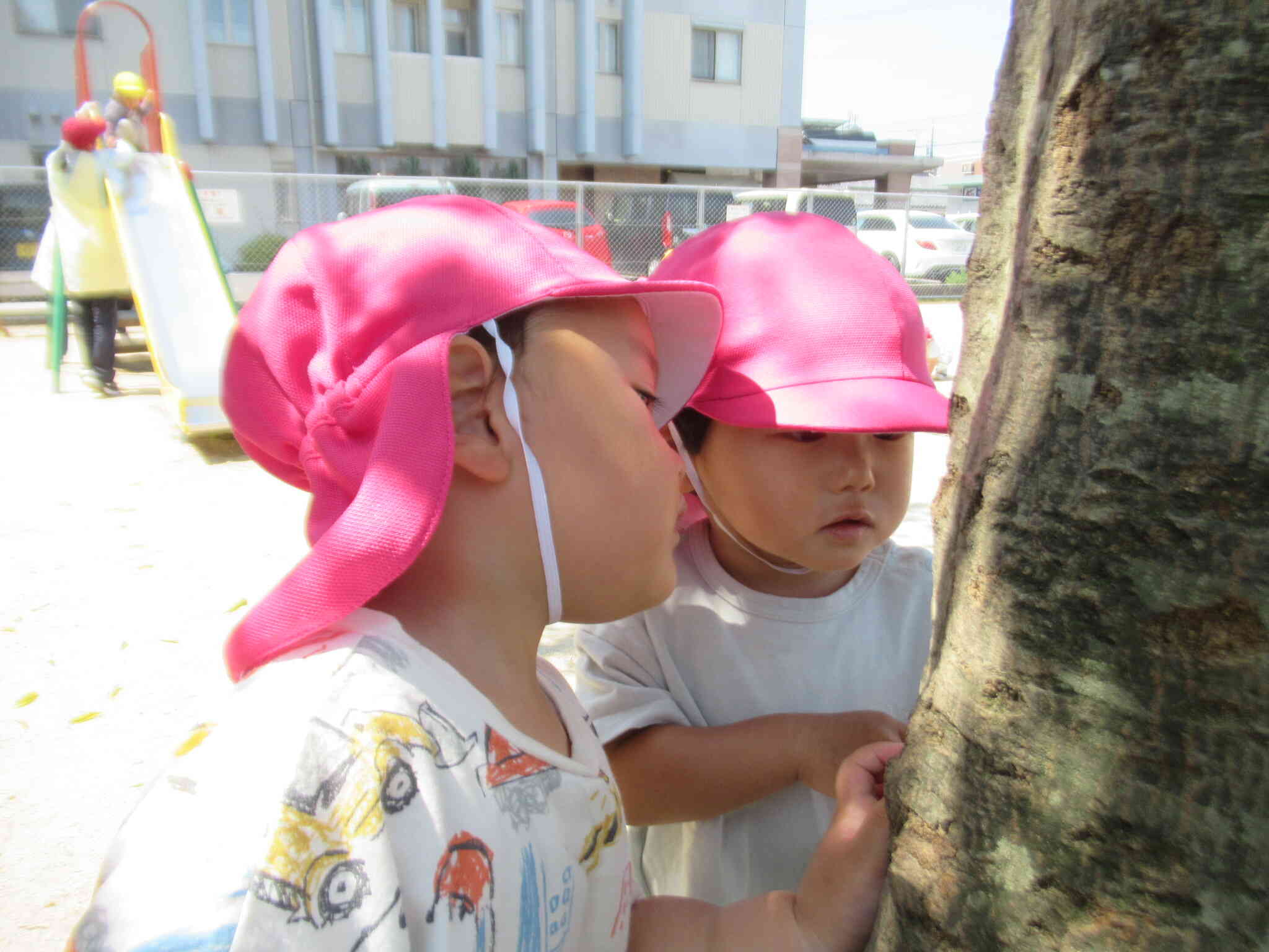 おっ！　木に 虫さんが歩いているよ　... 　　どこどこ？　どこ？　　ここ、ここ、ここにいる！