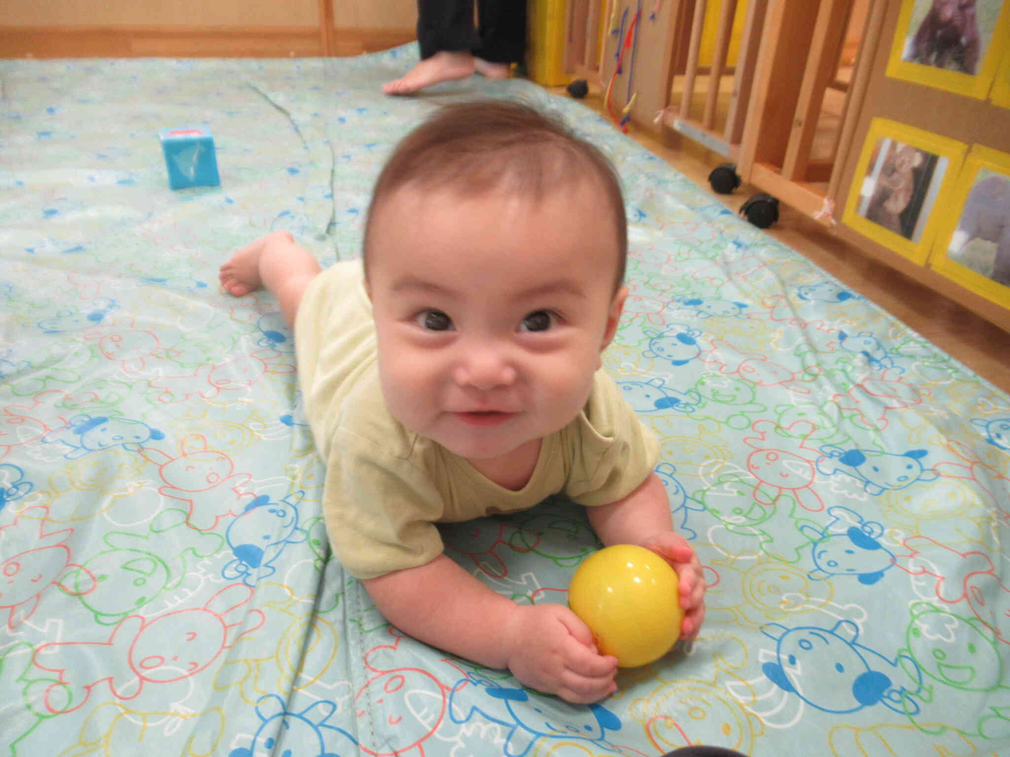 ずりばいが じょうずになったんだよ　　ボールめがけて...　ナイスキャッチ！