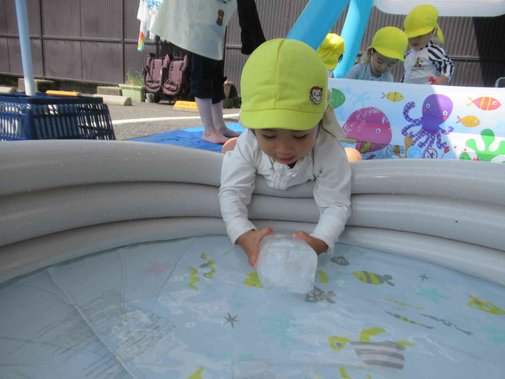 氷って冷たい　水の中に入れてみよう　そぉーっと 入れて…　あれ？なんだか 氷ちぃっちゃくなってきた　おもしろ～い
