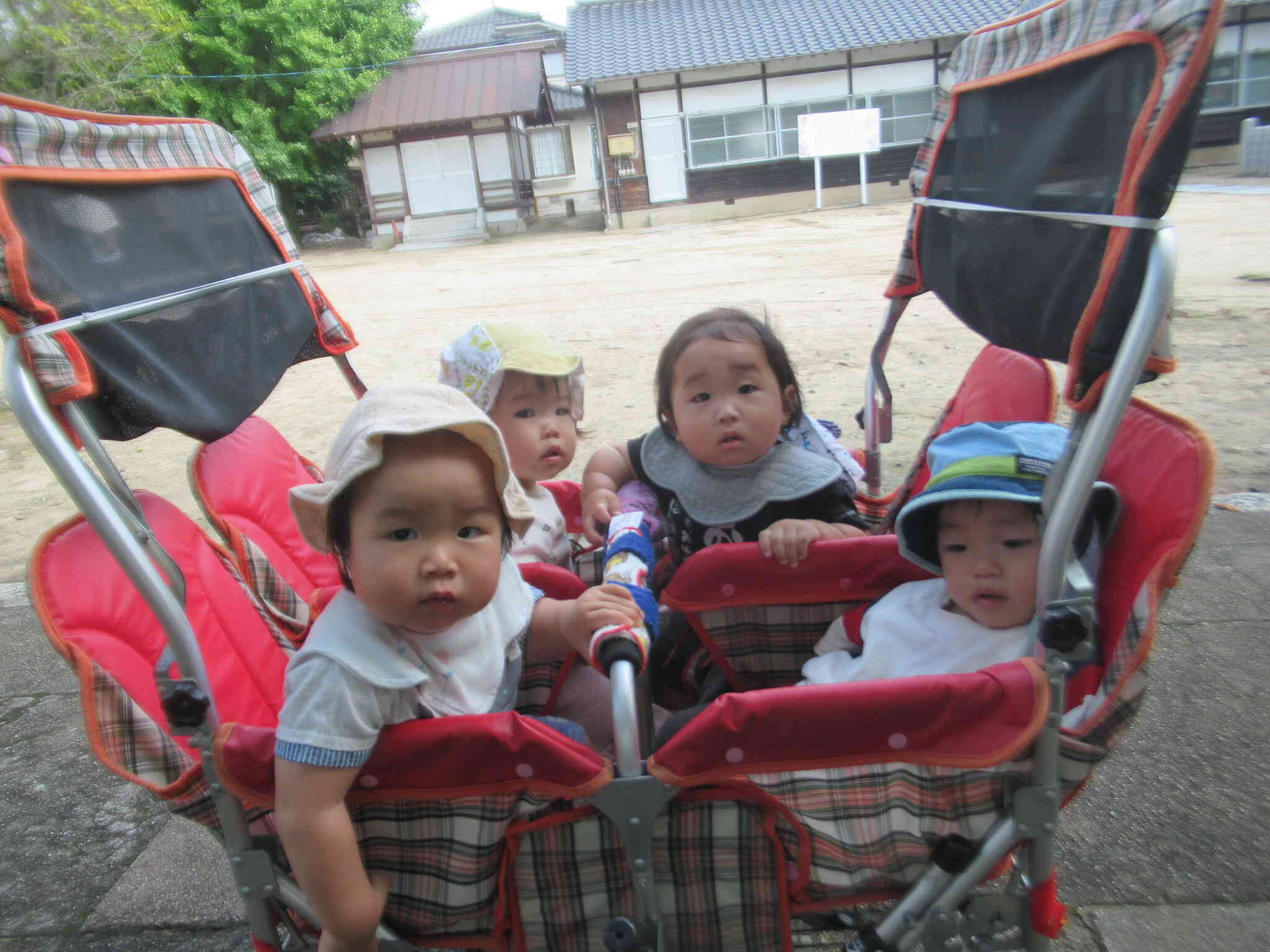 おさんぽ（ひよこぐみ）