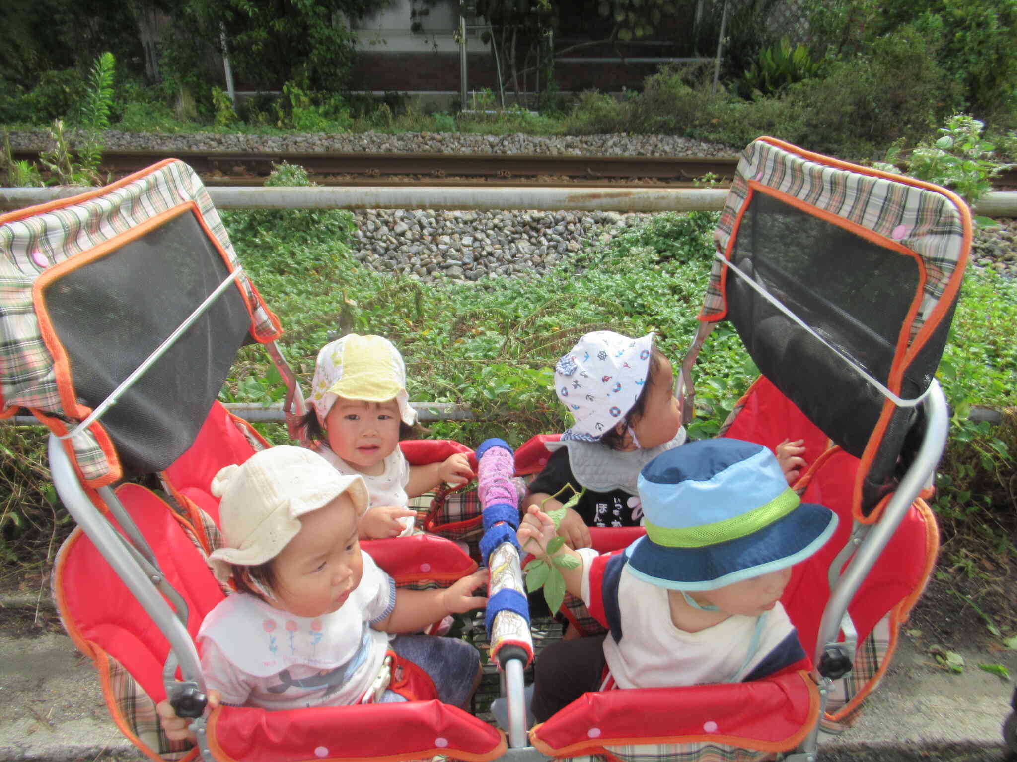 あれあれあれれ？　何の音？！　カンカンカンカンカン ...　何の音？　もうすぐ電車が来るんじゃない？！