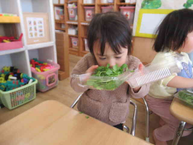 わたし匂ってみる ...