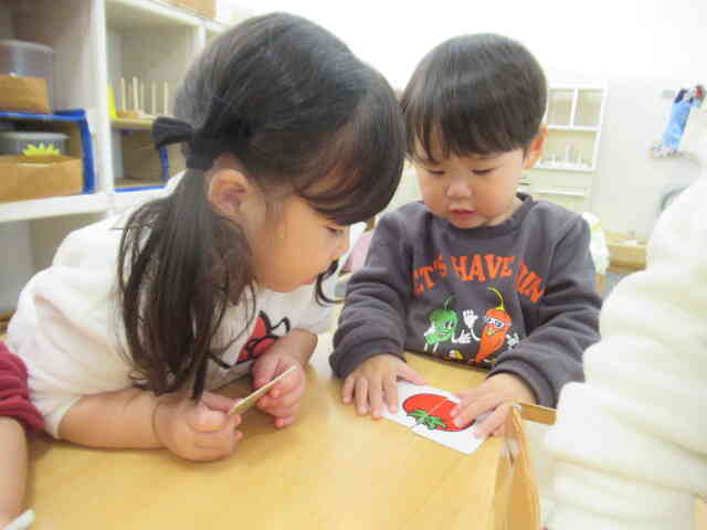 絵カードだよ　これとこれを合わせると ...   何ができるか わかる？　　 ああっ　トマトだね！　　やったー 完成！ すっご～い