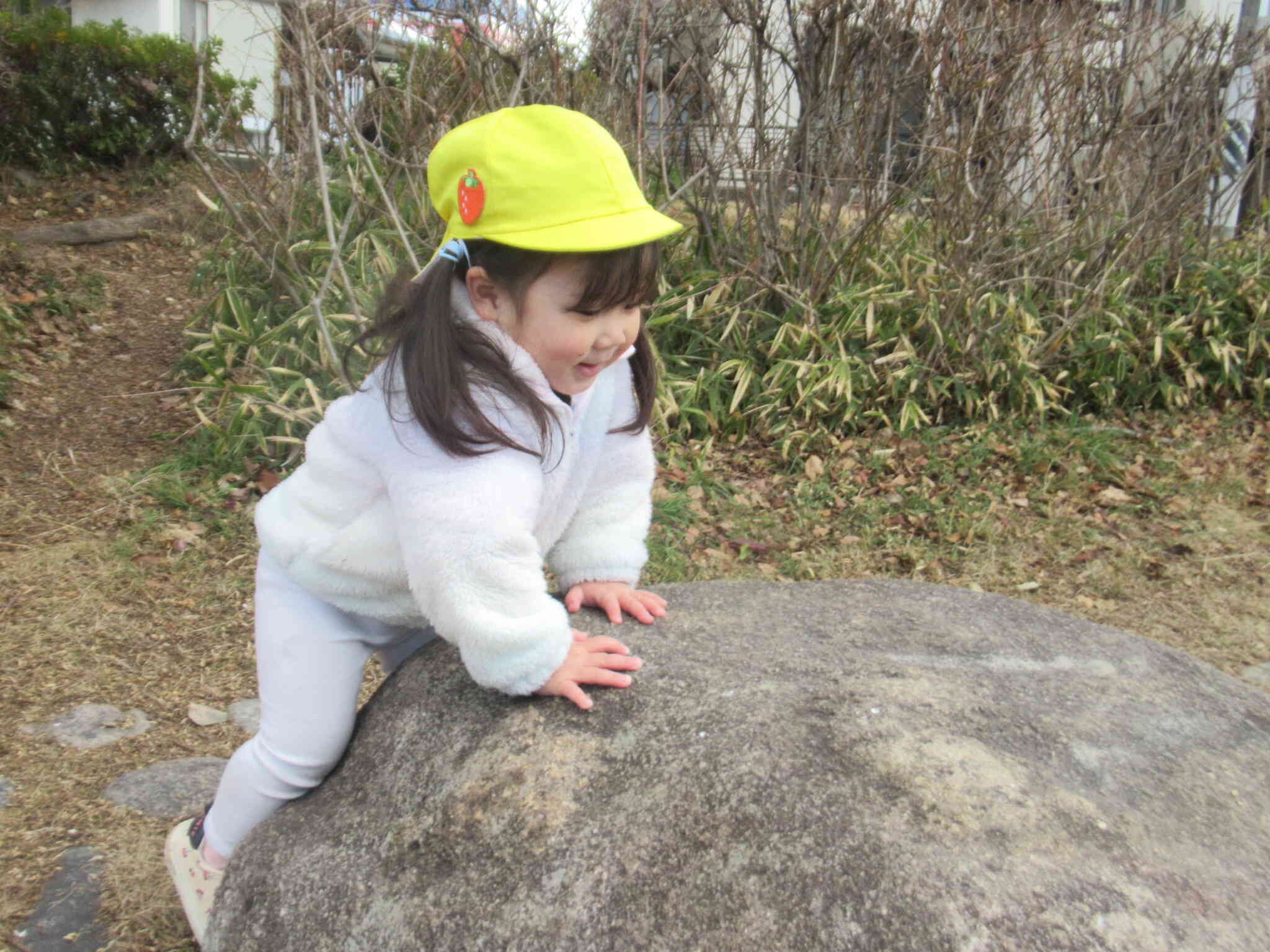 でっかい石 ...  あがってみよ　　よいしょ よいしょ う～んしょ　　せんせい 見ててね ...　 ほら 上がれたよ　すご～いでしょ？