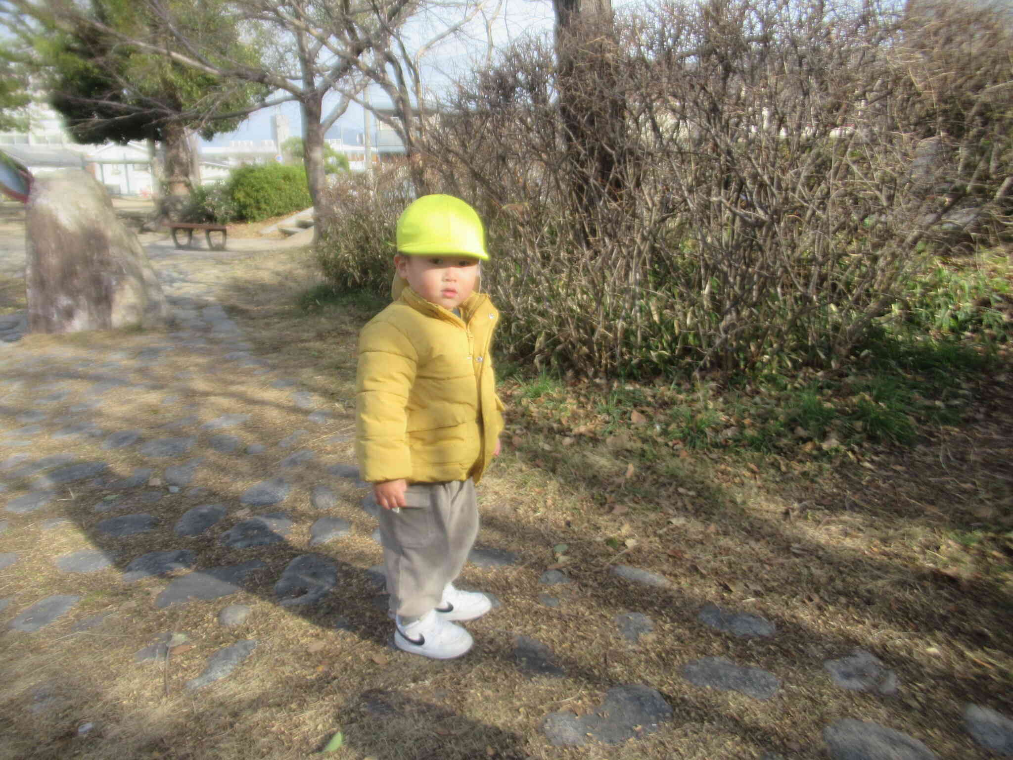 ここは 木いっぱいだね　　なんだか わくわくしてきたよ　　探検してみようかな～？　ねぇねぇ いっしょに いってみよ～よ