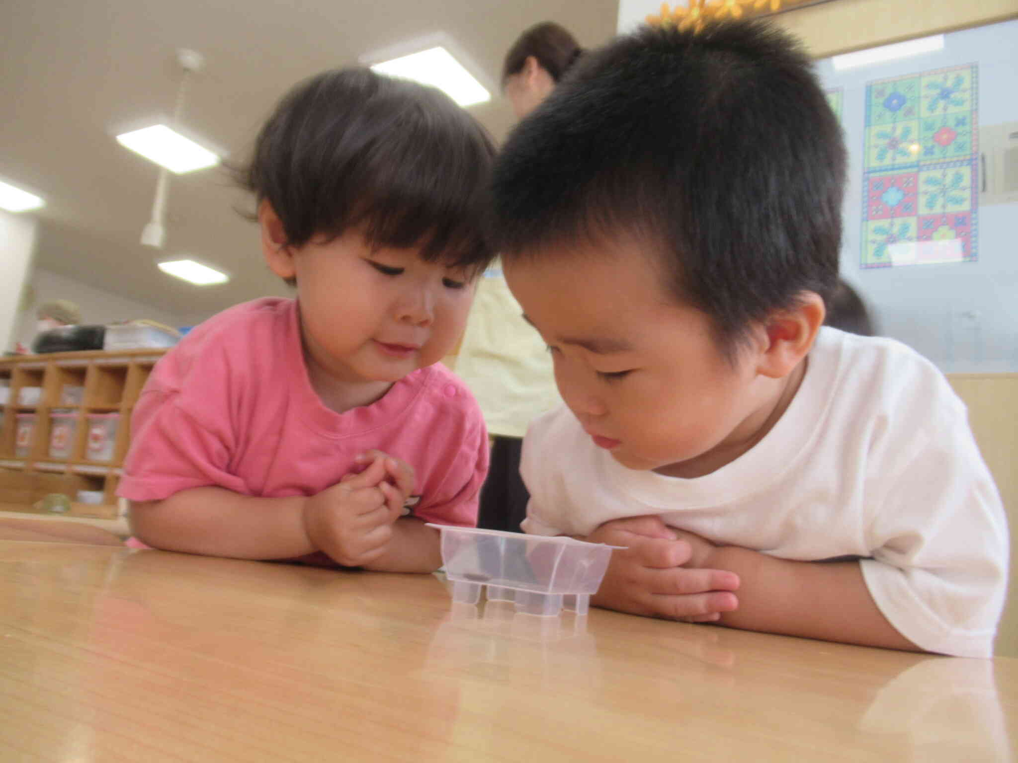 これ … ダンゴムシよ えっ! うごいたじゃん? ちょっと ちょっと ... うごいたね 足がいっぱいじゃん