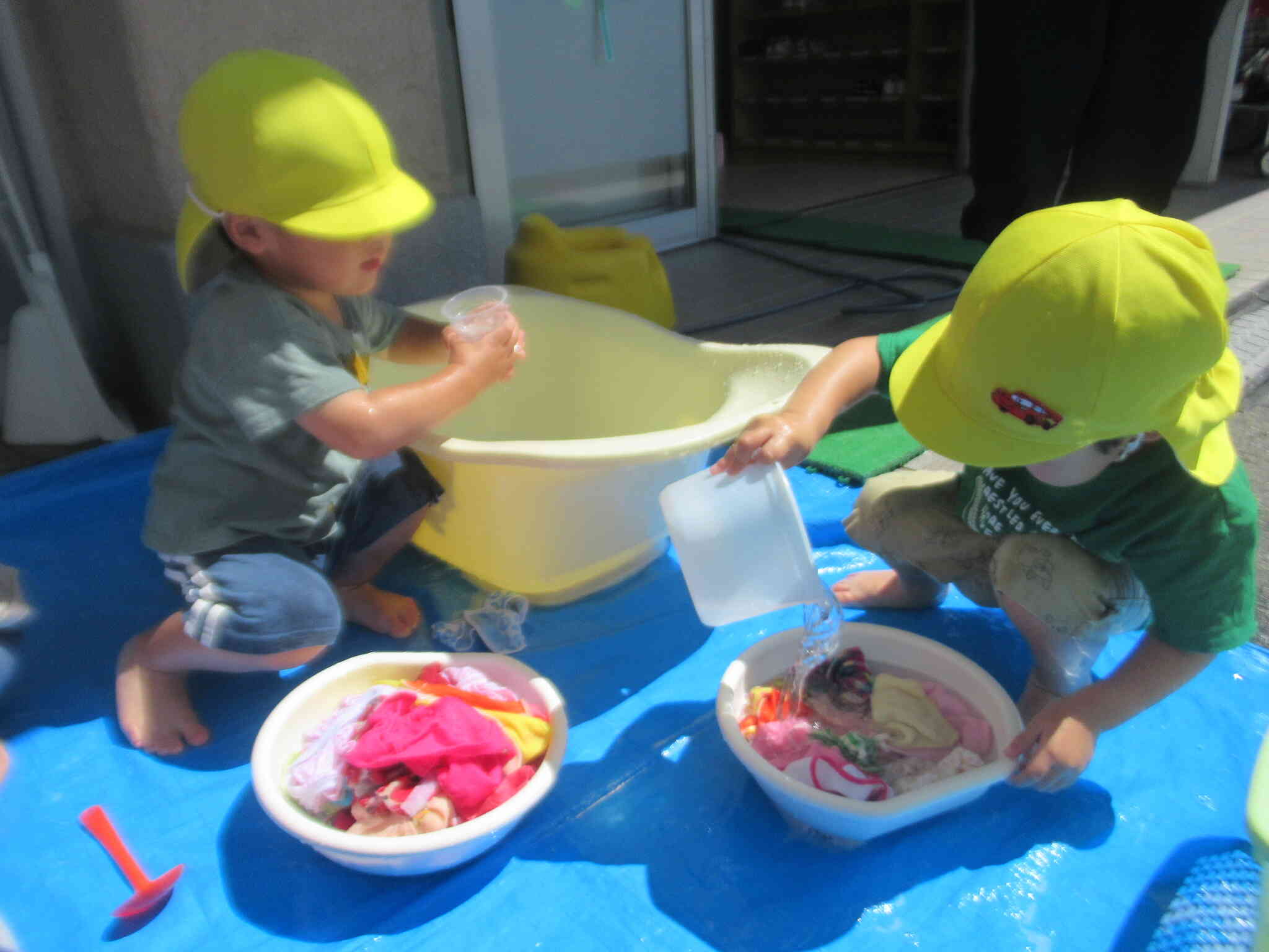 洗面器で洗おう