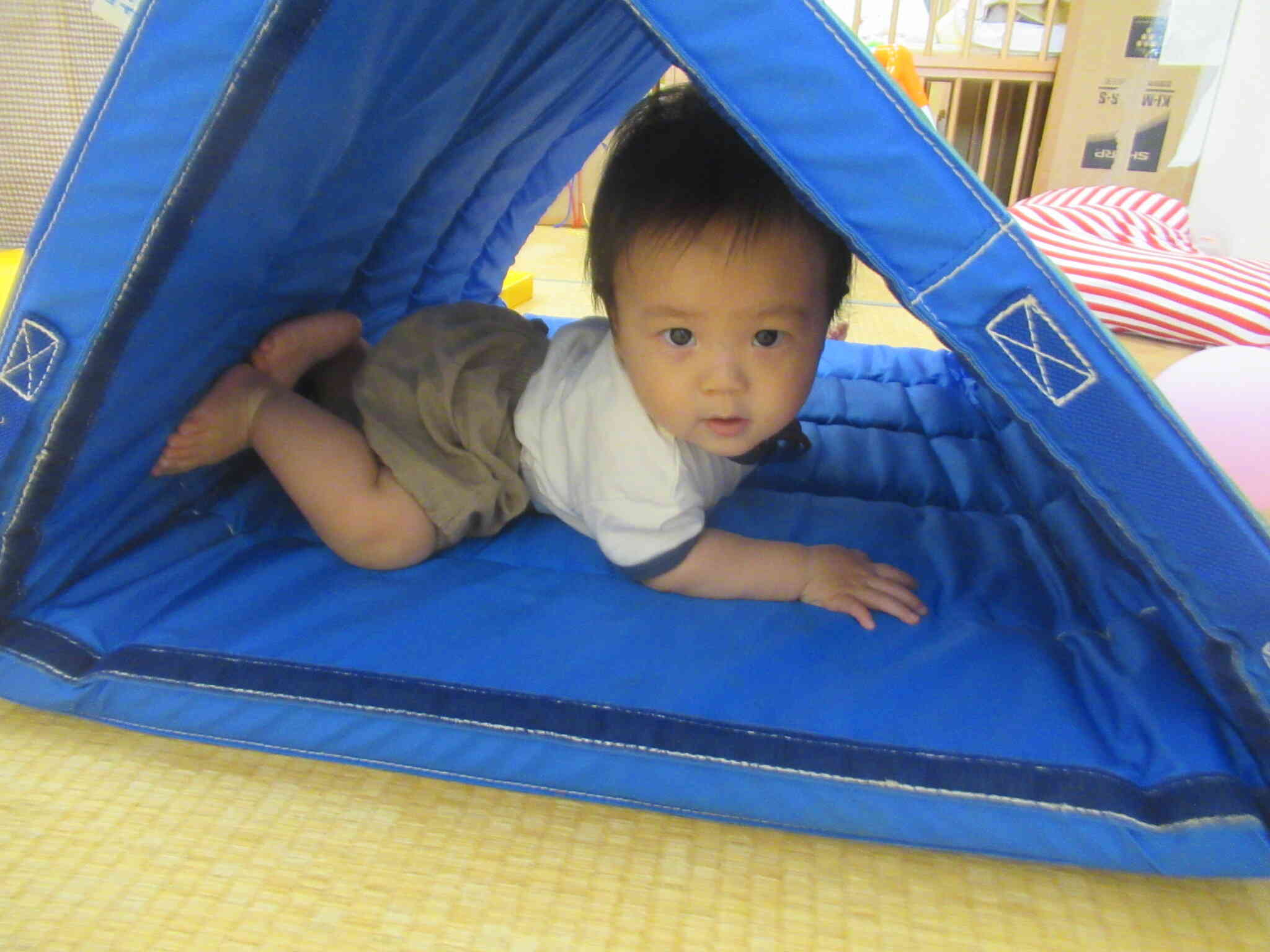 三角のトンネルみつけたよ ...　入ってみるね　 おお～ なんだか ちょうどいい　  ぼく ここにいるよ ...　みつけてくれるかな？