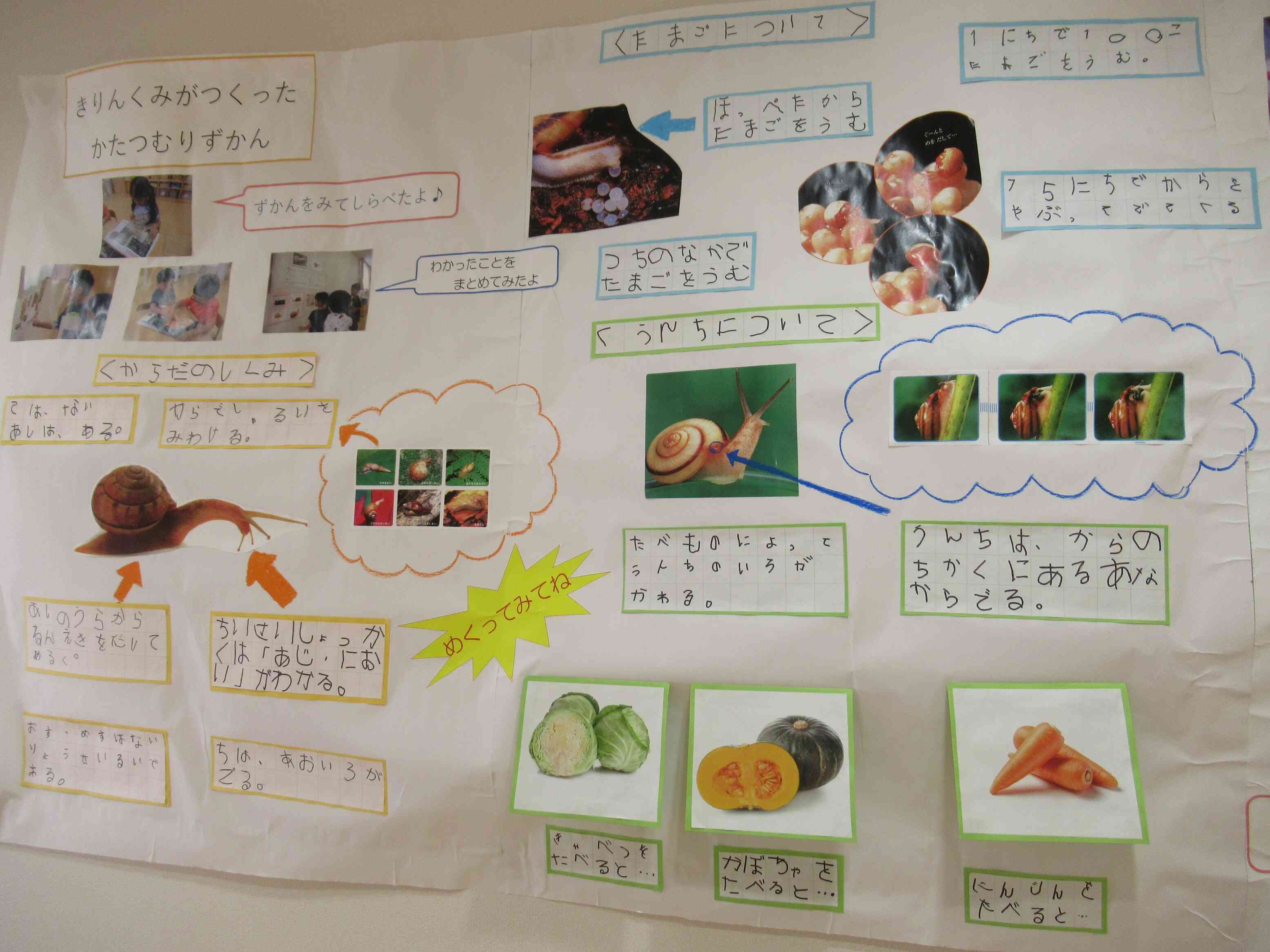 きりん組作　かたつむり図鑑
