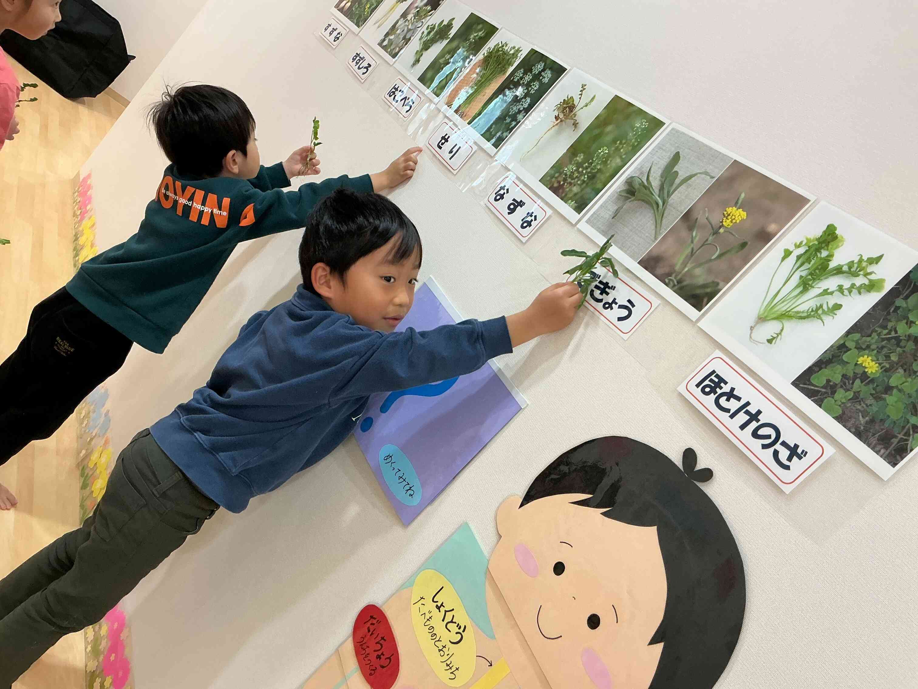 これはこの七草かな？