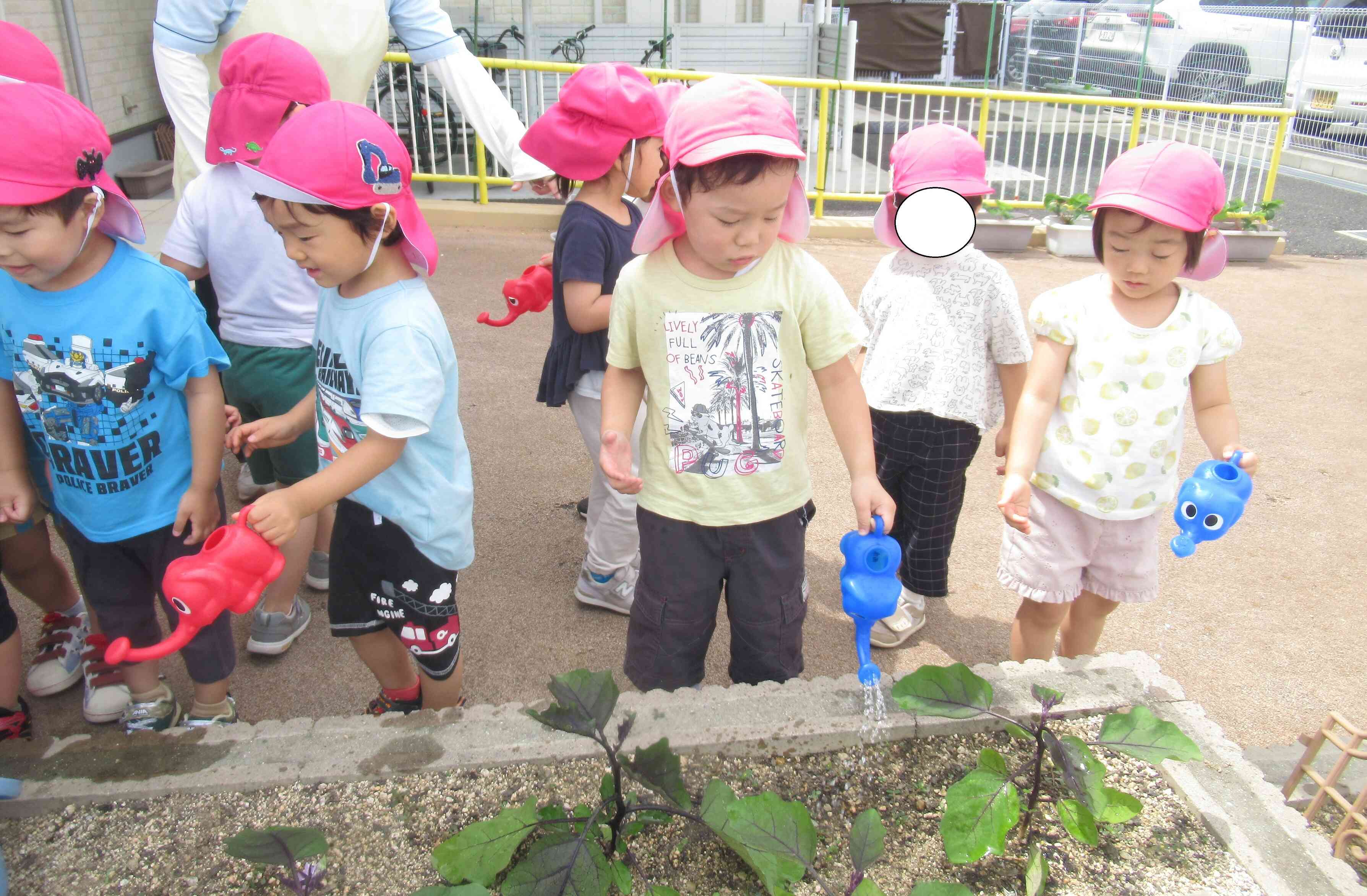 大きくなーれ☆