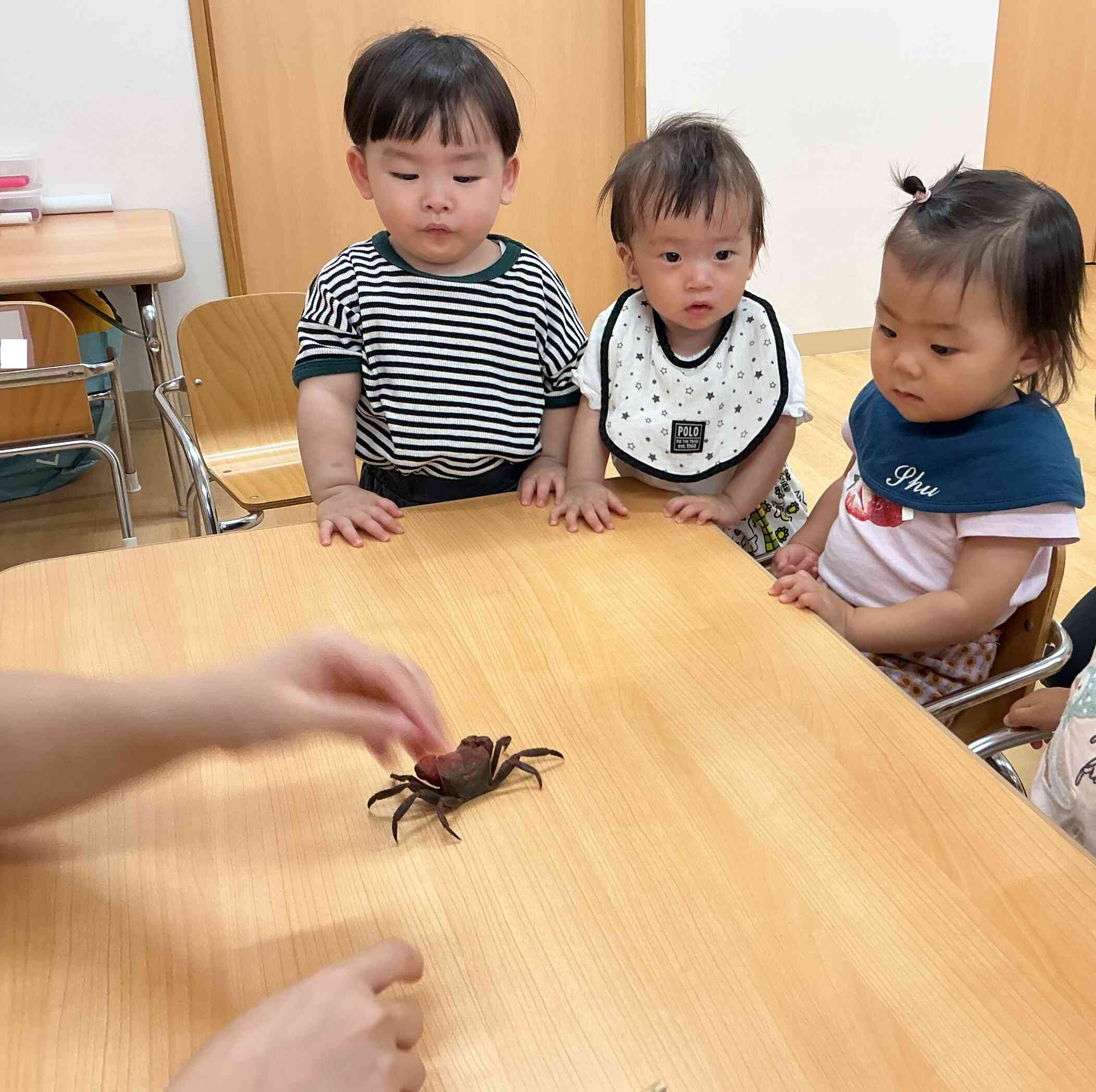 カニさん可愛いね