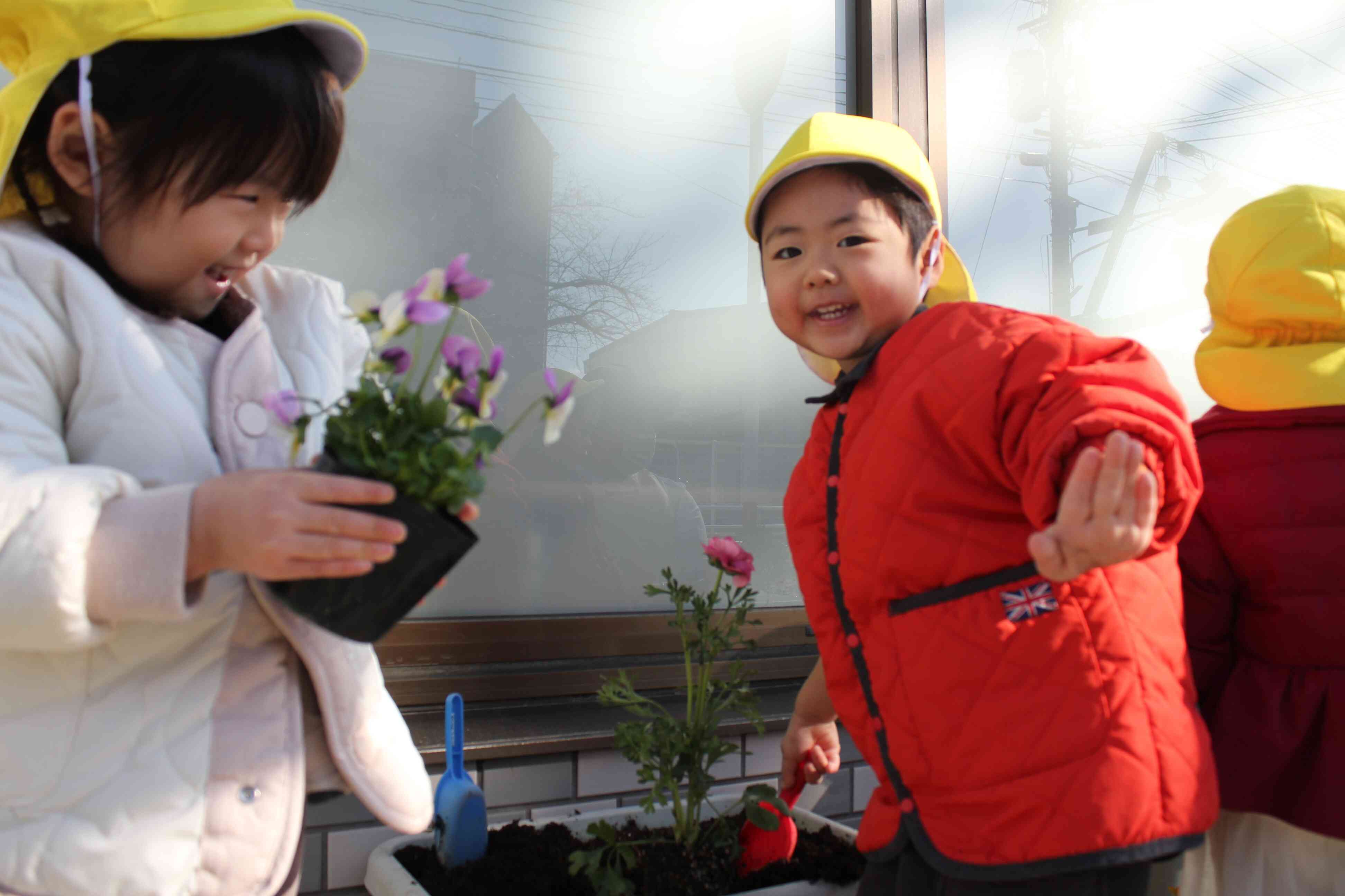 春：お花の苗植え