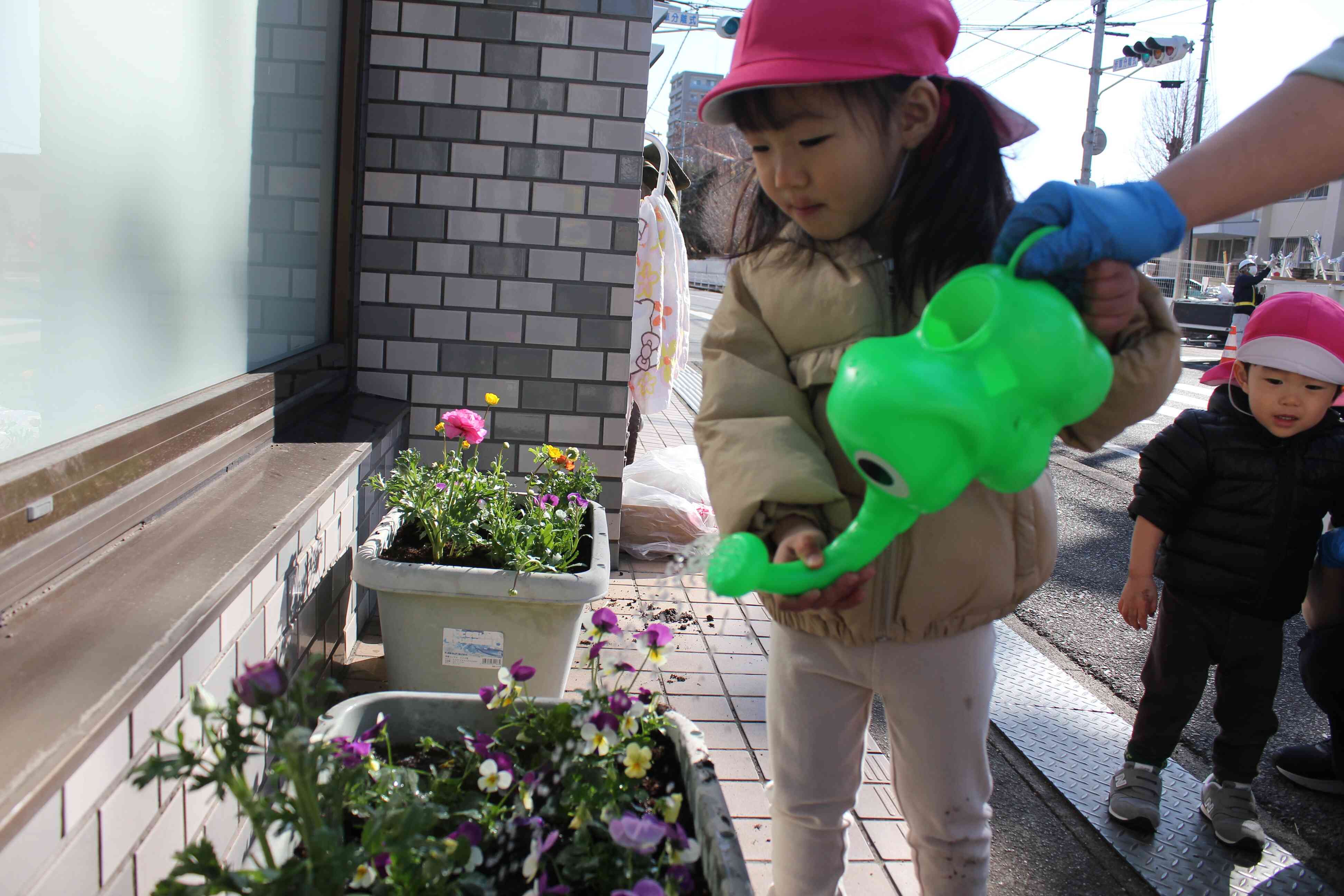 苗植えの後はしっかりとお水やり