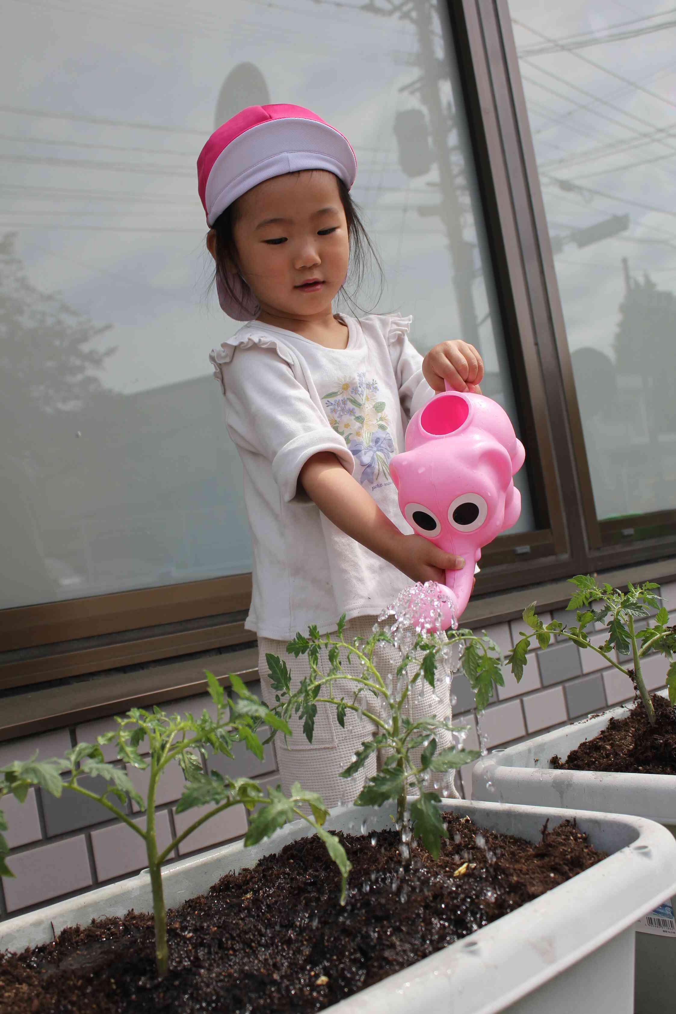 苗を植えた後はしっかりとお水やりです。