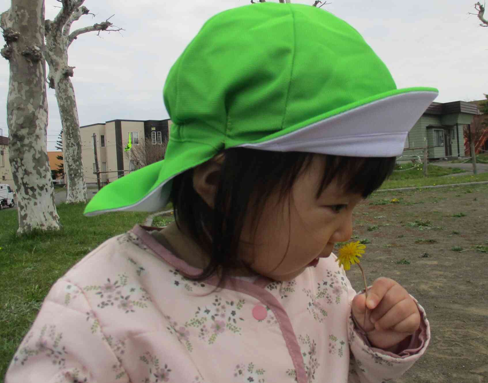 １歳児クラスのお友だちは、お花を探すことに夢中です！見つけると手に取って触ってみたり、引っ張ってみたり・・そして匂いを確かめていました♪