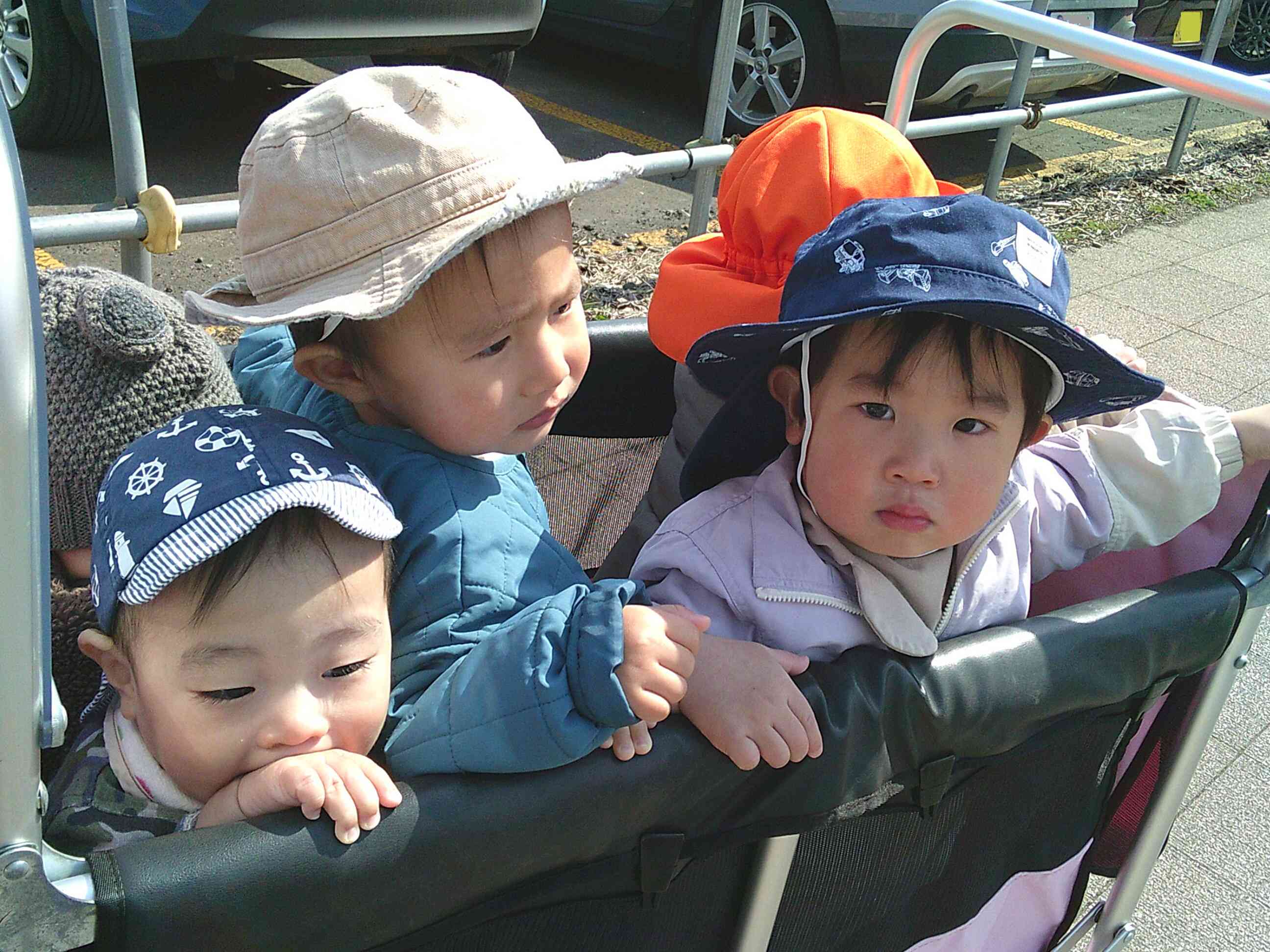 お散歩♪～1歳児あひる組～