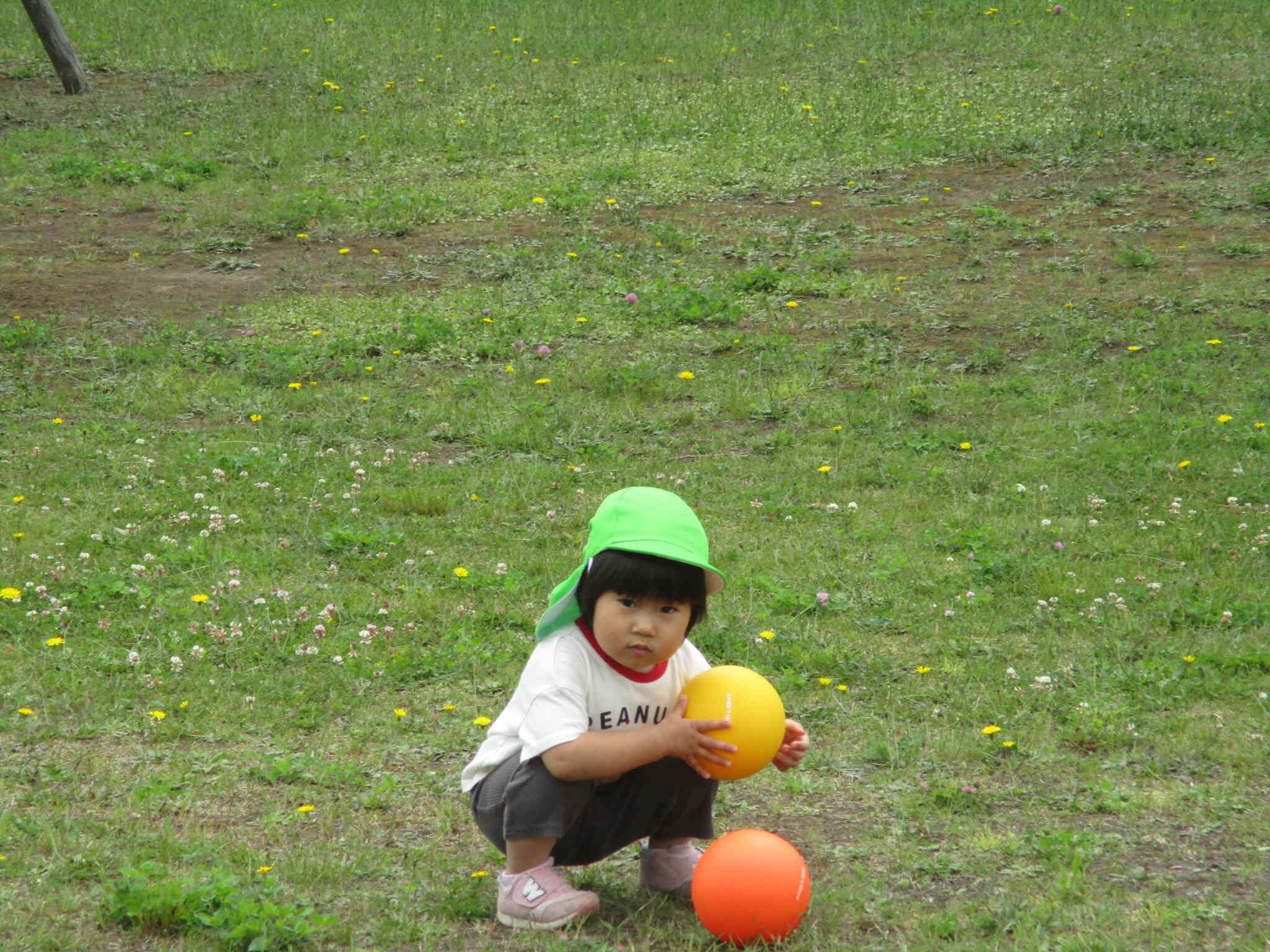野幌中央緑地で遊びました！