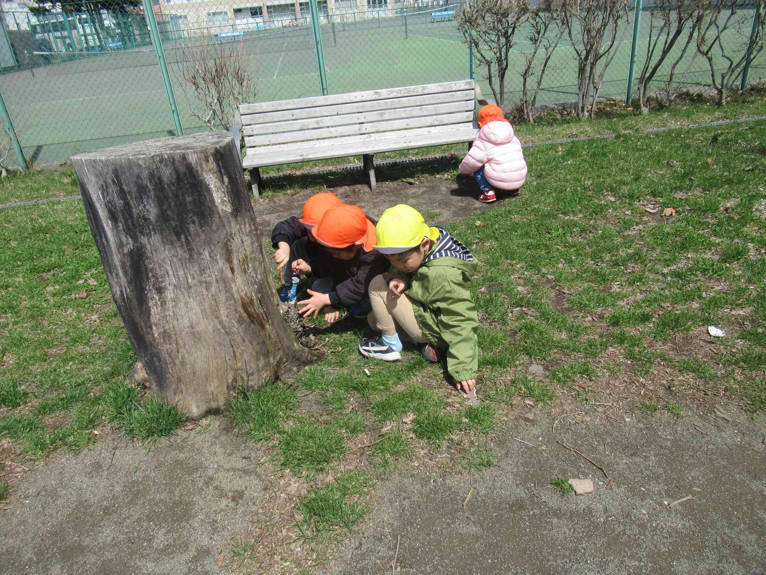何があるかな？
