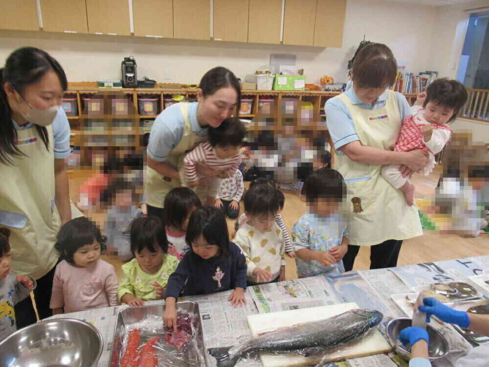触れるかな?