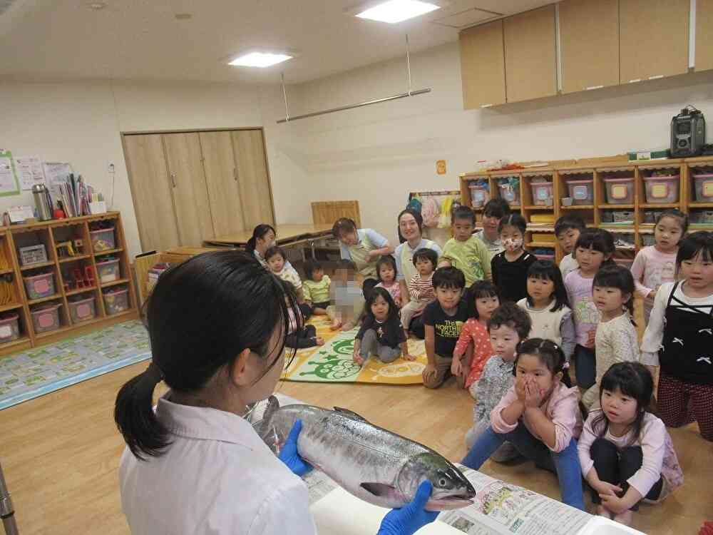 食育「魚に触ってみよう！」
