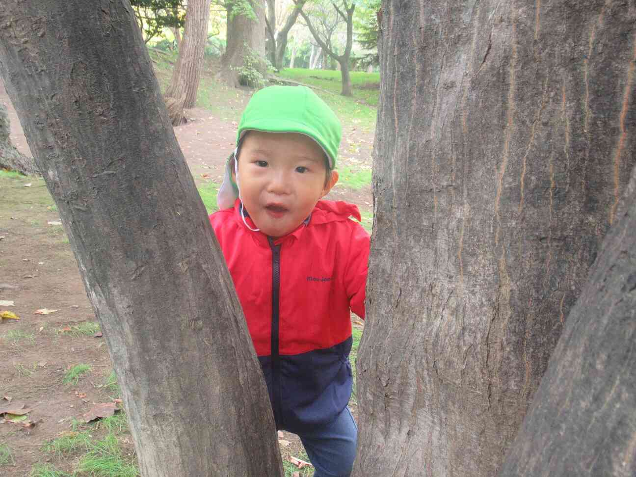 「ばぁ!!」と隠れん坊をして遊んだよ