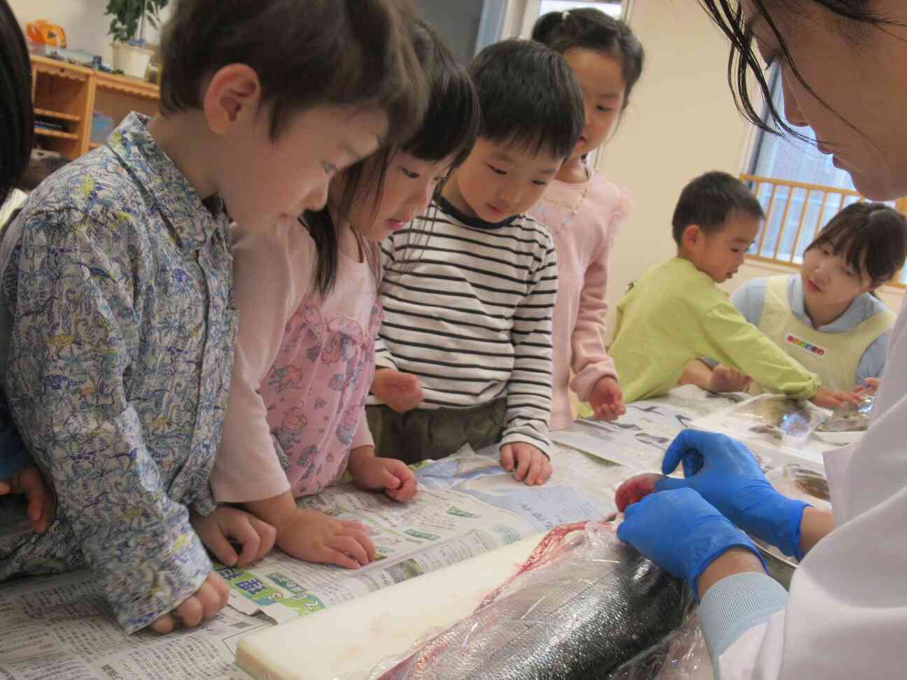 じっくり見ましょう！