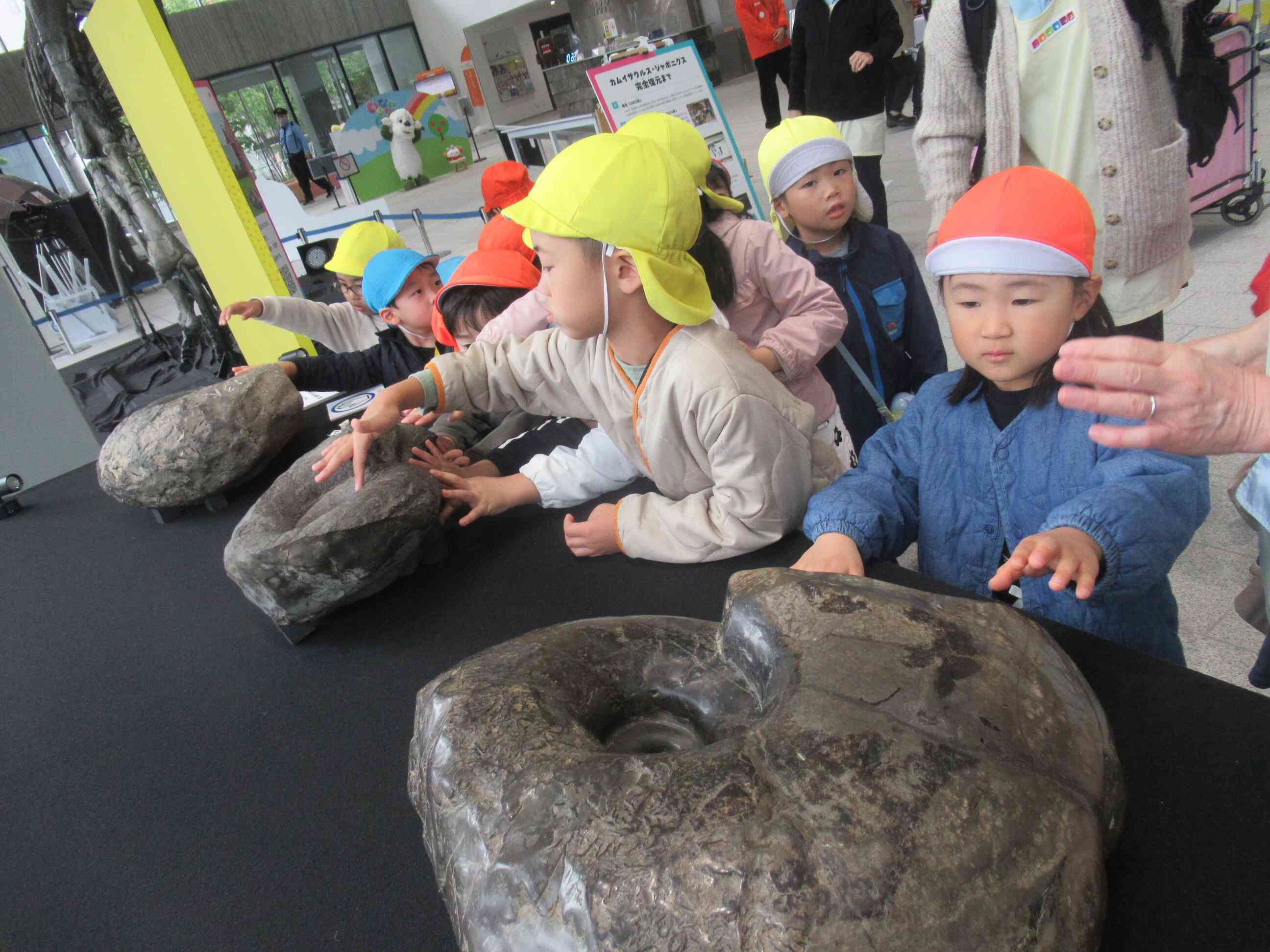 園外活動(２歳児～５歳児)