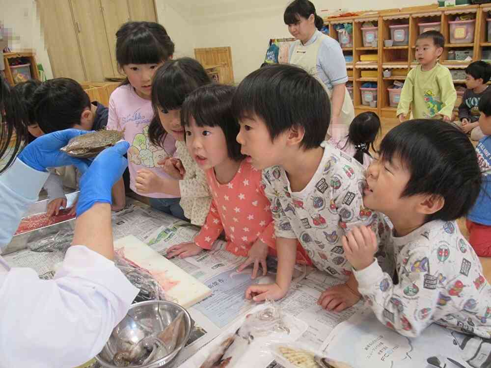 色々な海産物も見てみよう!