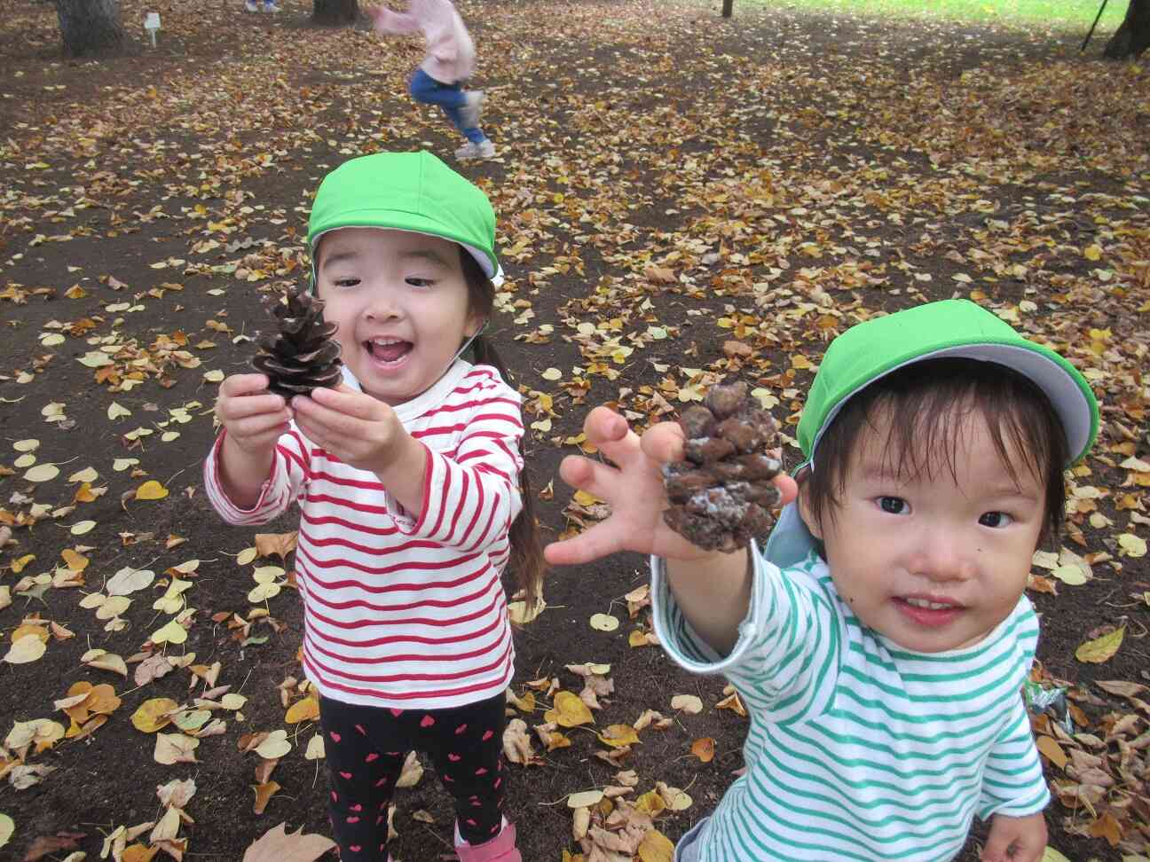 自然がいっぱい