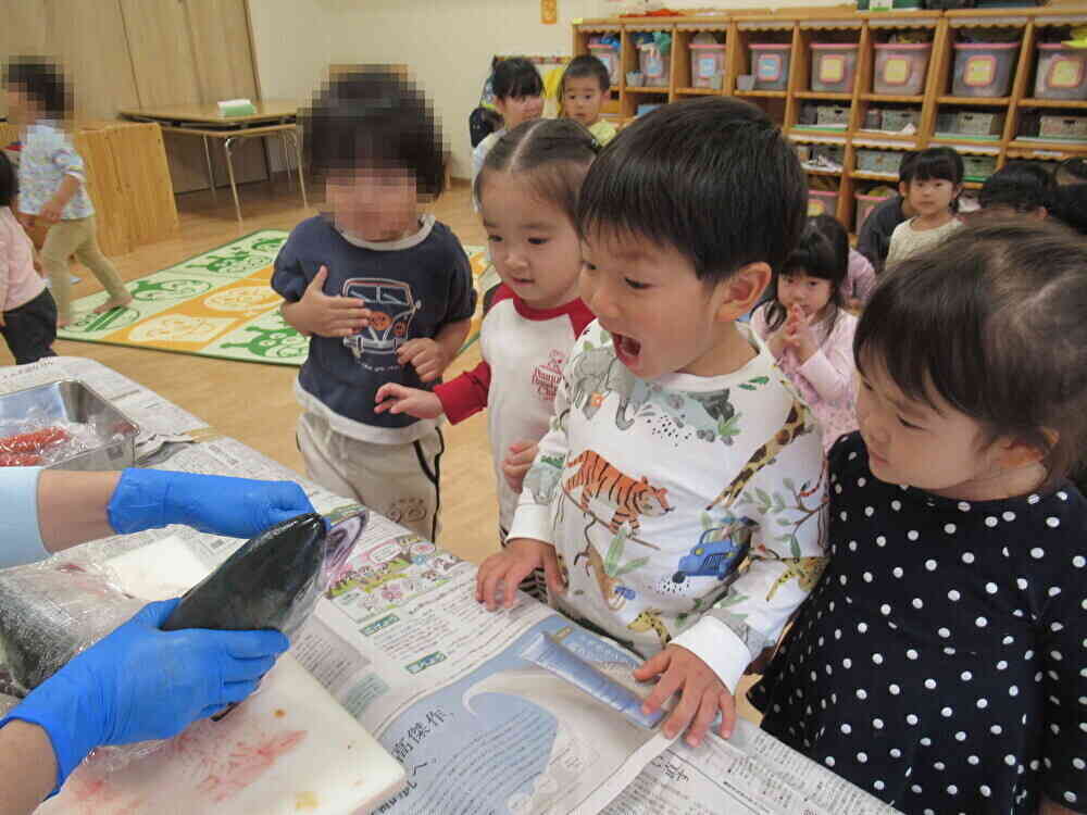 魚の顔をじっくり見て驚き!
