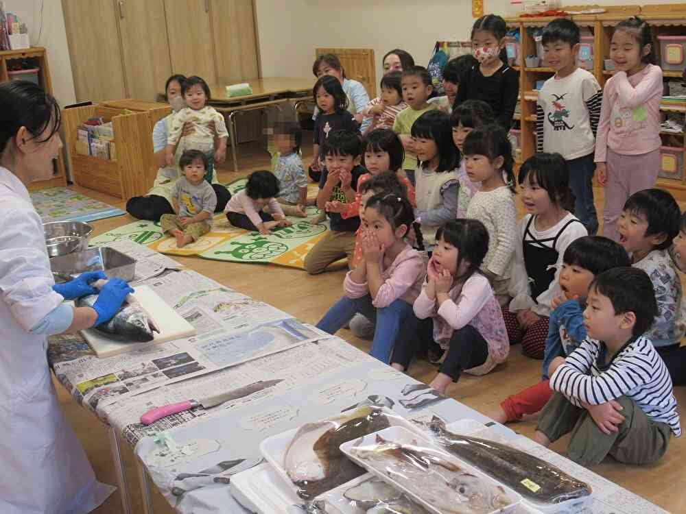 食育「魚の解体」
