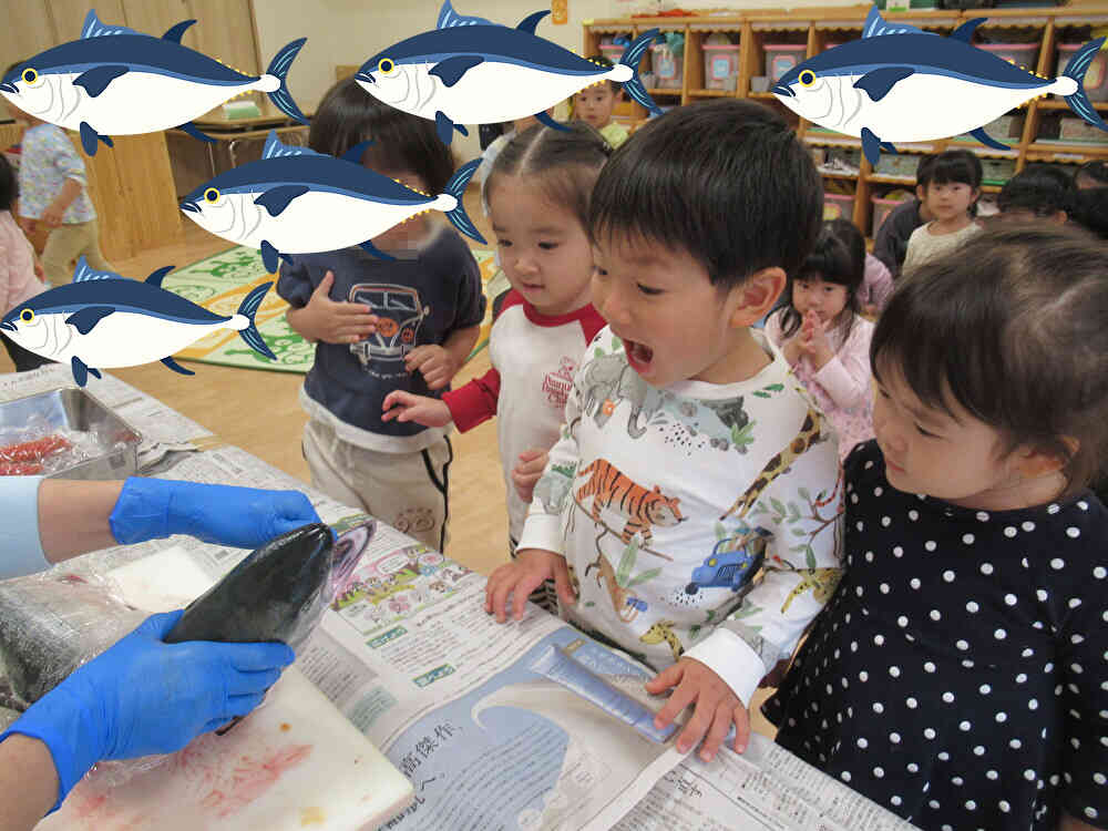 魚の解体　「うわぁ～」