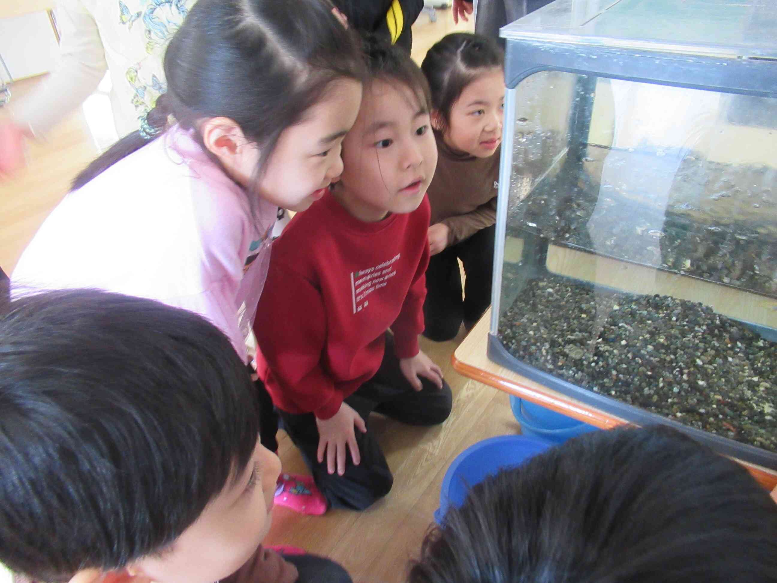 メダカに興味津々！