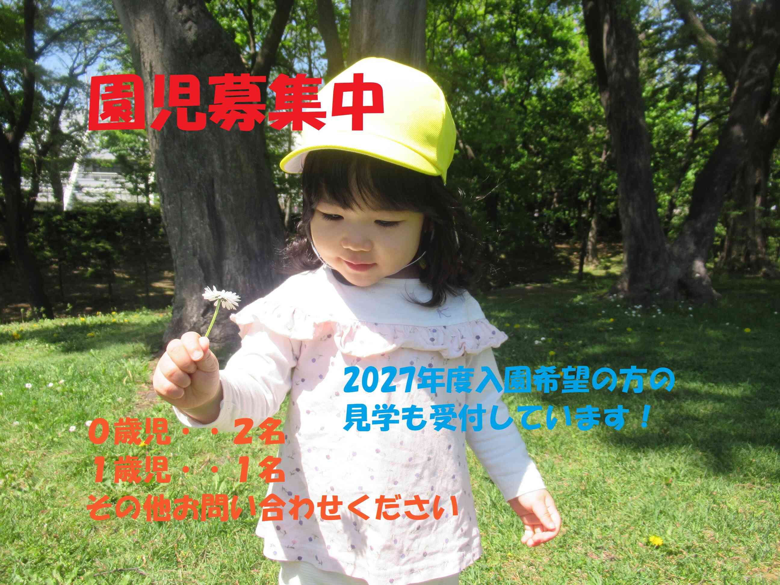 ニチイキッズ大通西18丁目保育園