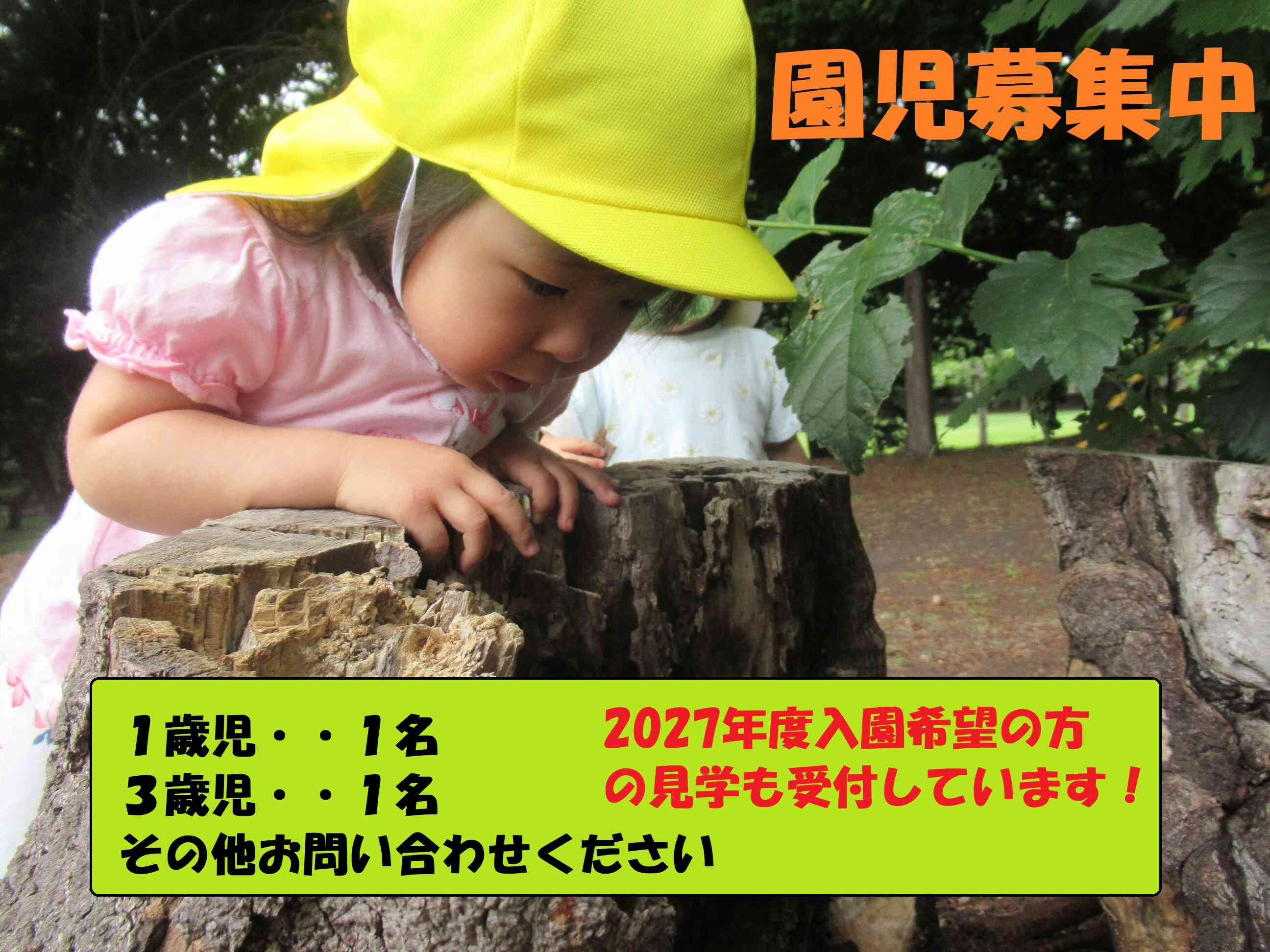 ニチイキッズ大通西18丁目保育園