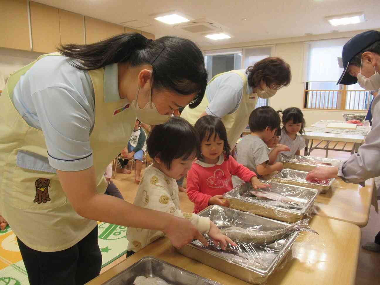 ホッケやにしん