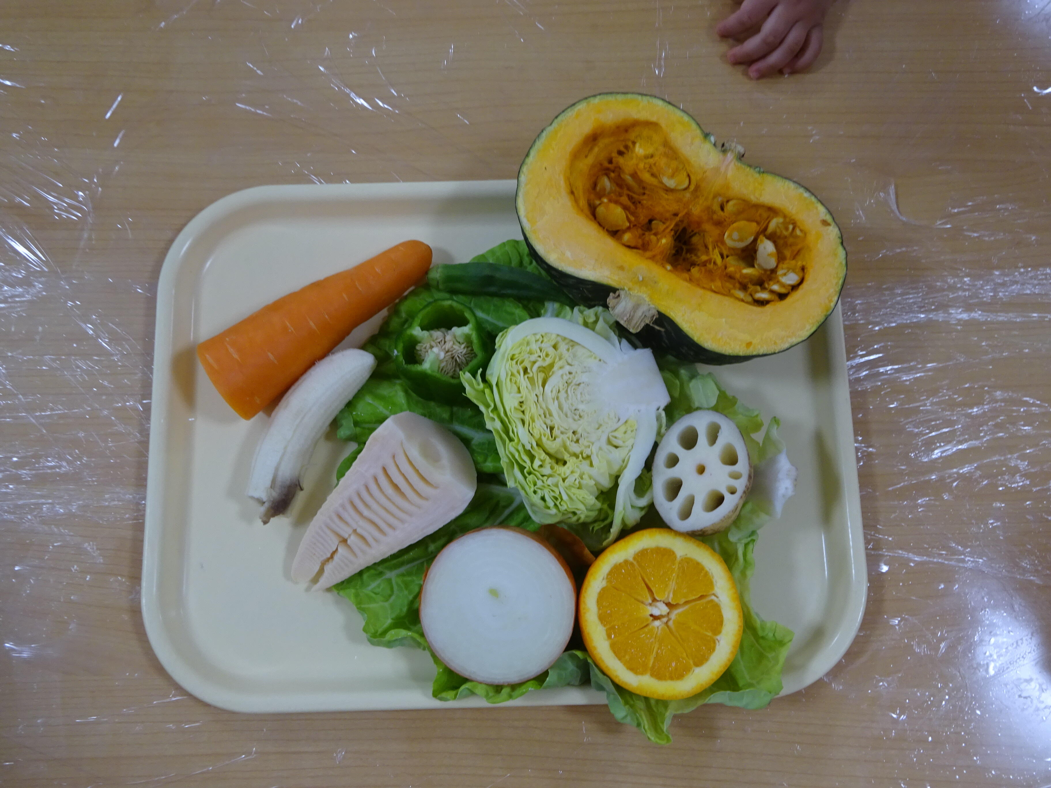 野菜に触れよう