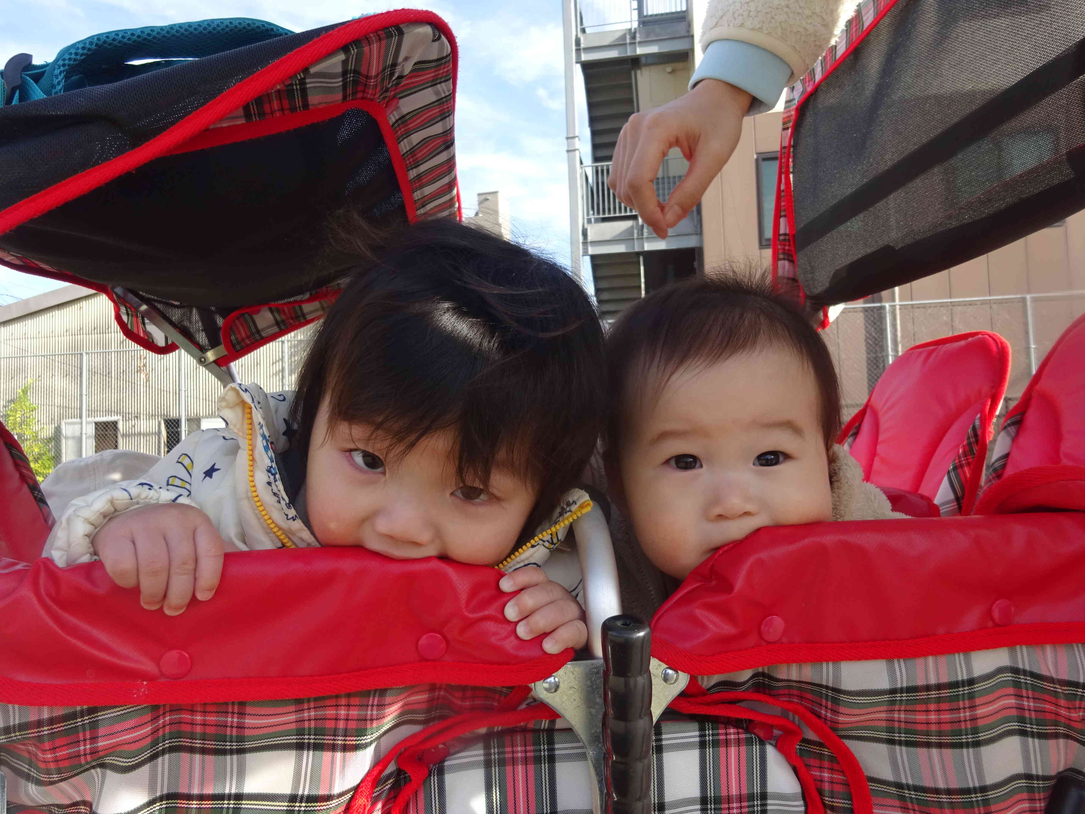 僕たちも　ひなたぼっこ　楽しんでるよ～♡