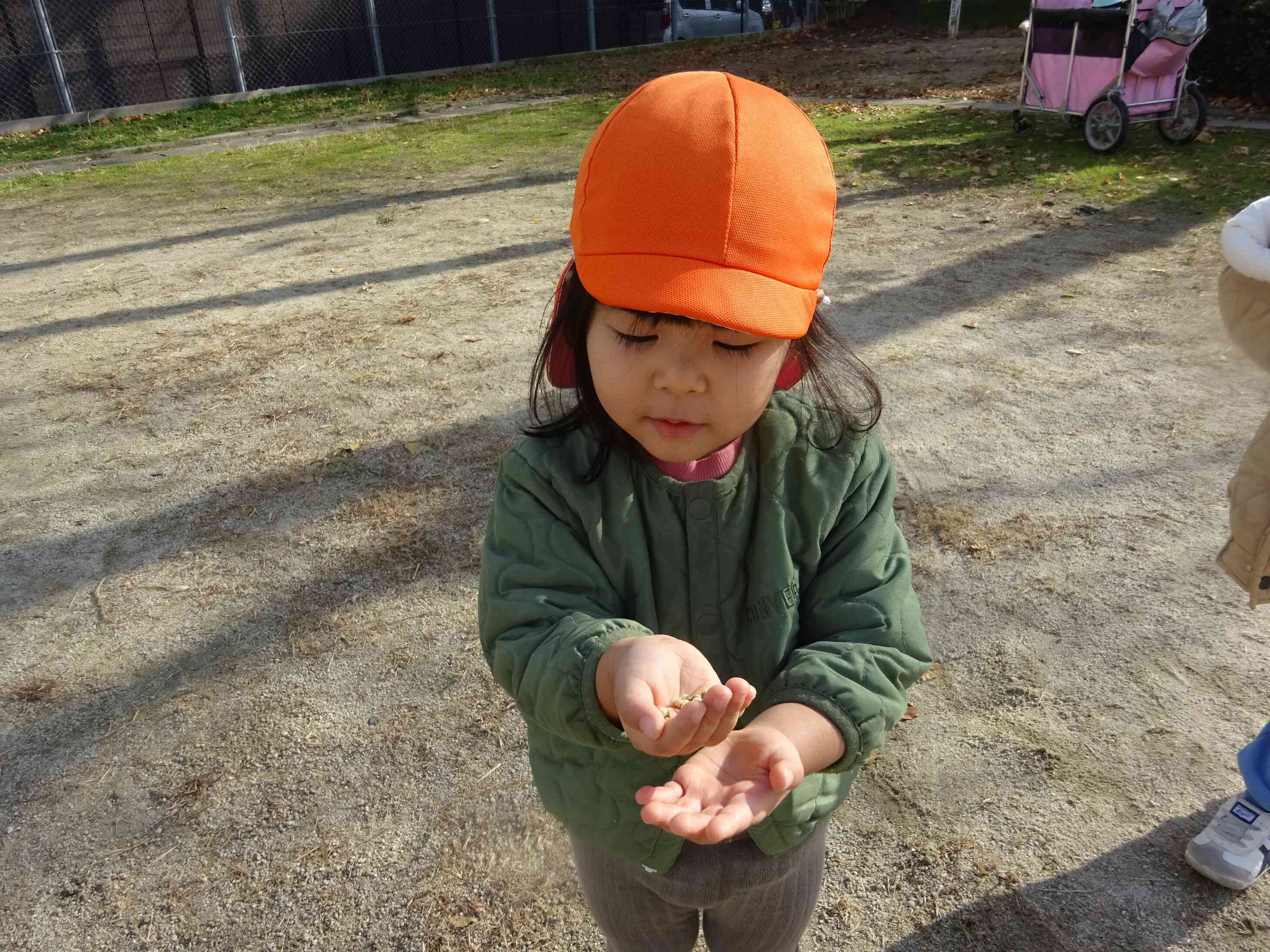 みてみて～！　小さな木の実拾ったよ☆