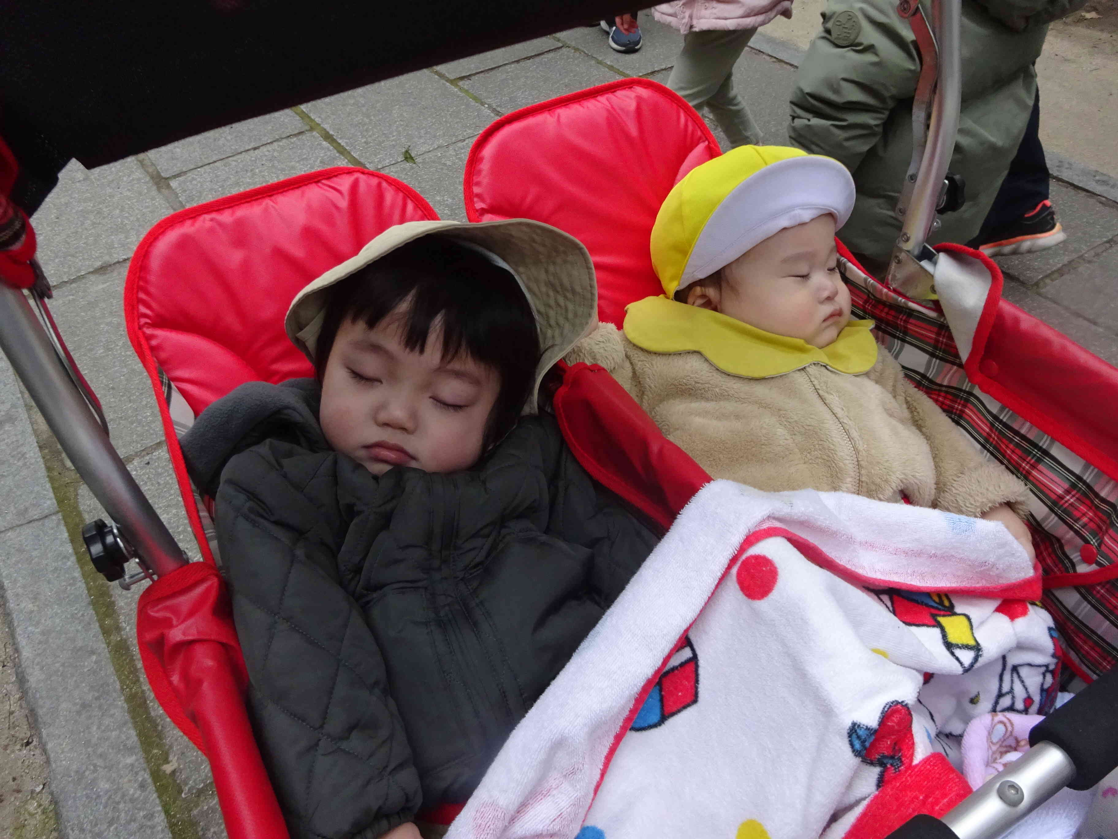 スヤスヤ。。僕たちは夢の中でご挨拶