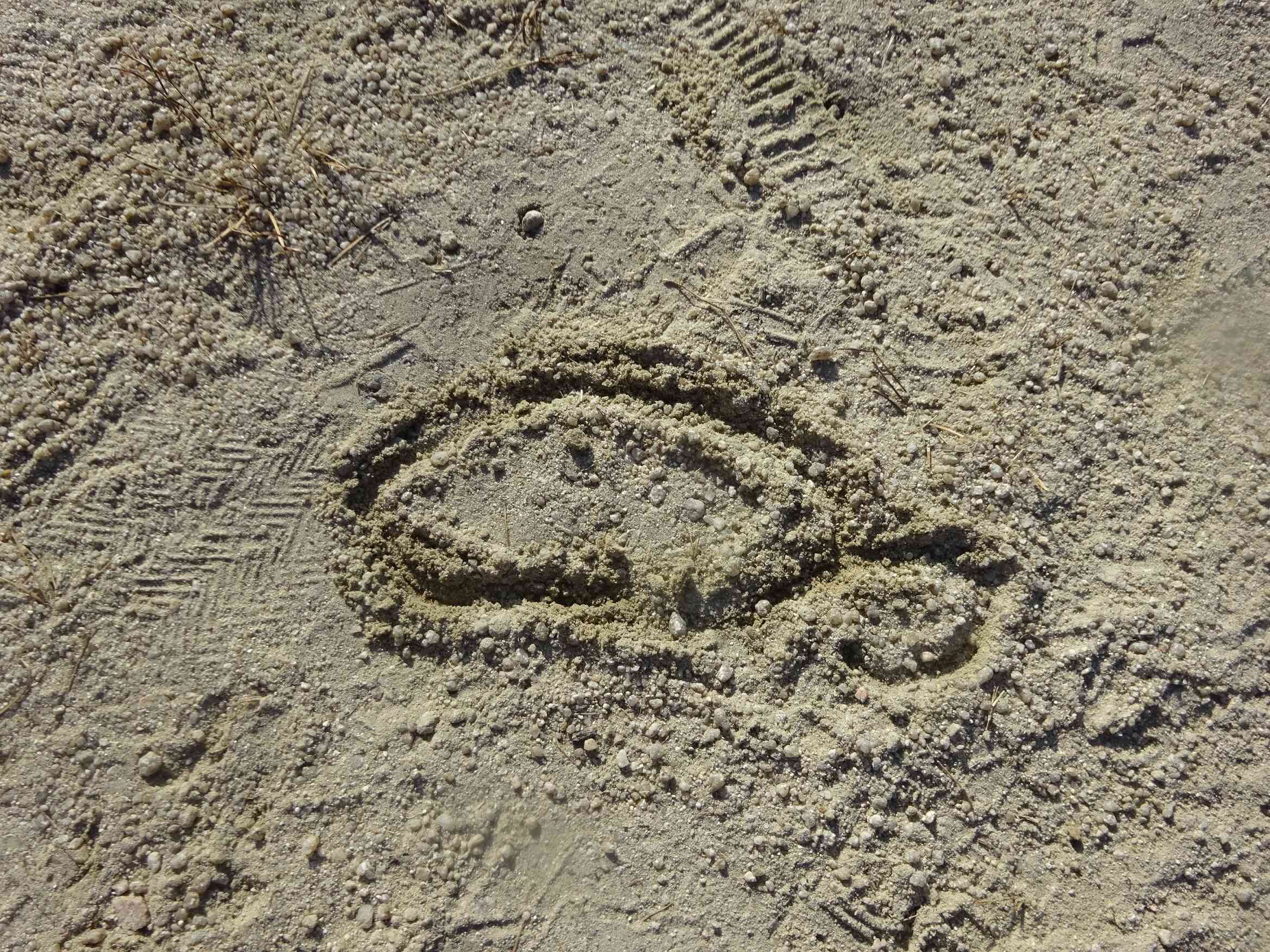 上手に　お魚を描いていました☆　　　　　　　　　　　　　　　　　　　　　　　　　　　　　　　　　　　　　　　　　　　　　　　　　　　　　　　　　　　　　　　　　　　　　　　　　　　　　　　　　　　　　　　　　　　　　　　　　　　　　　　　　　　　　　　　　　　　　　　　　　　　　　　　　　　　　　　　　　　　　　　　　　　　　　　　　　　　　　　　　　　