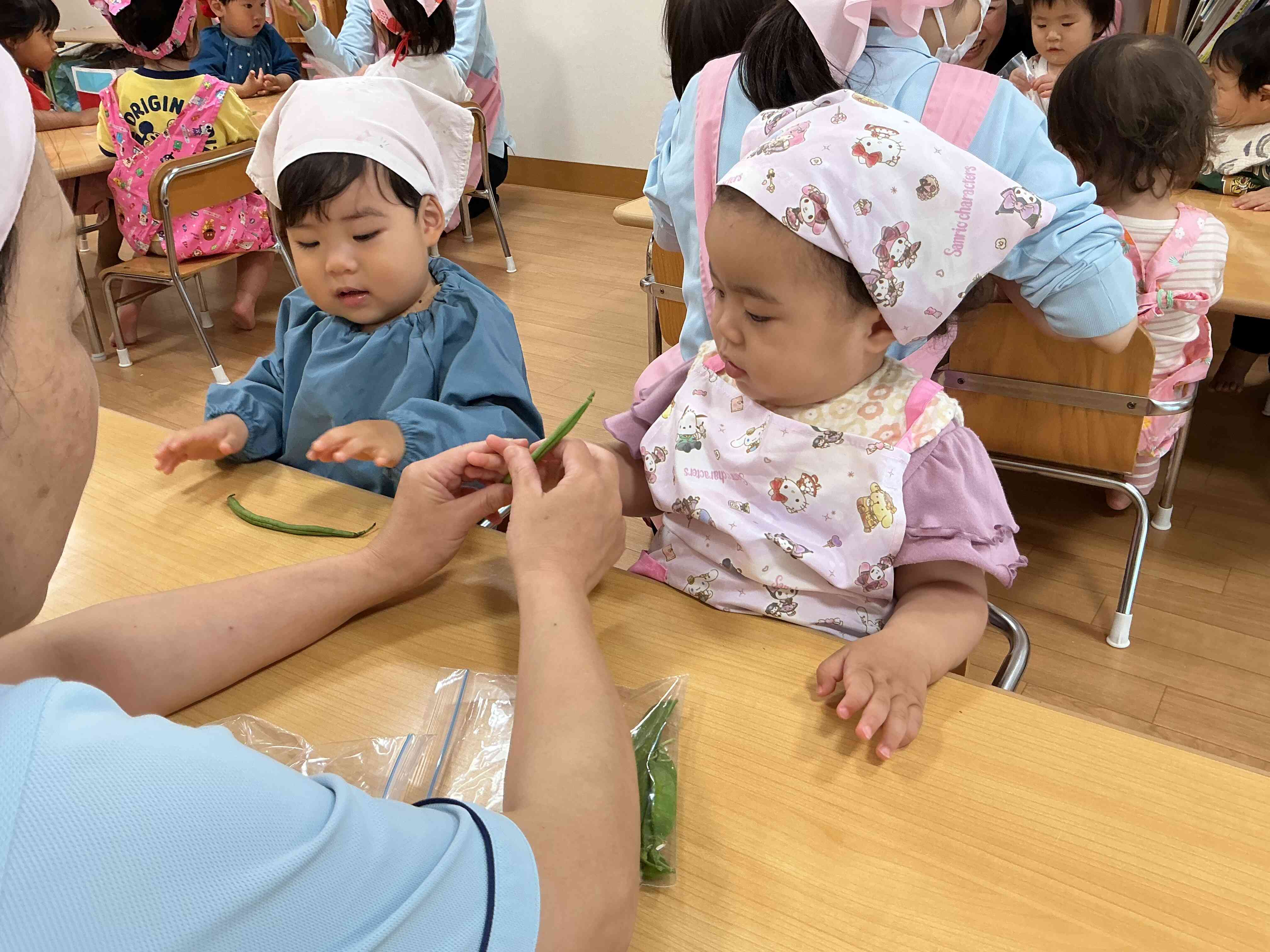 お豆に興味津々!