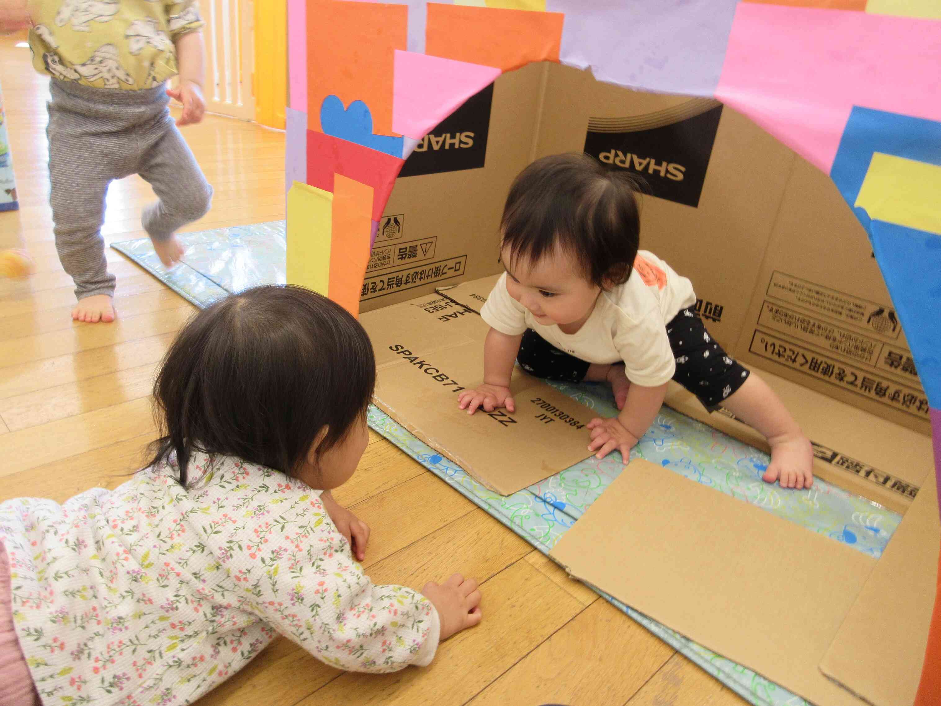 いない、いない…ばあっ！！