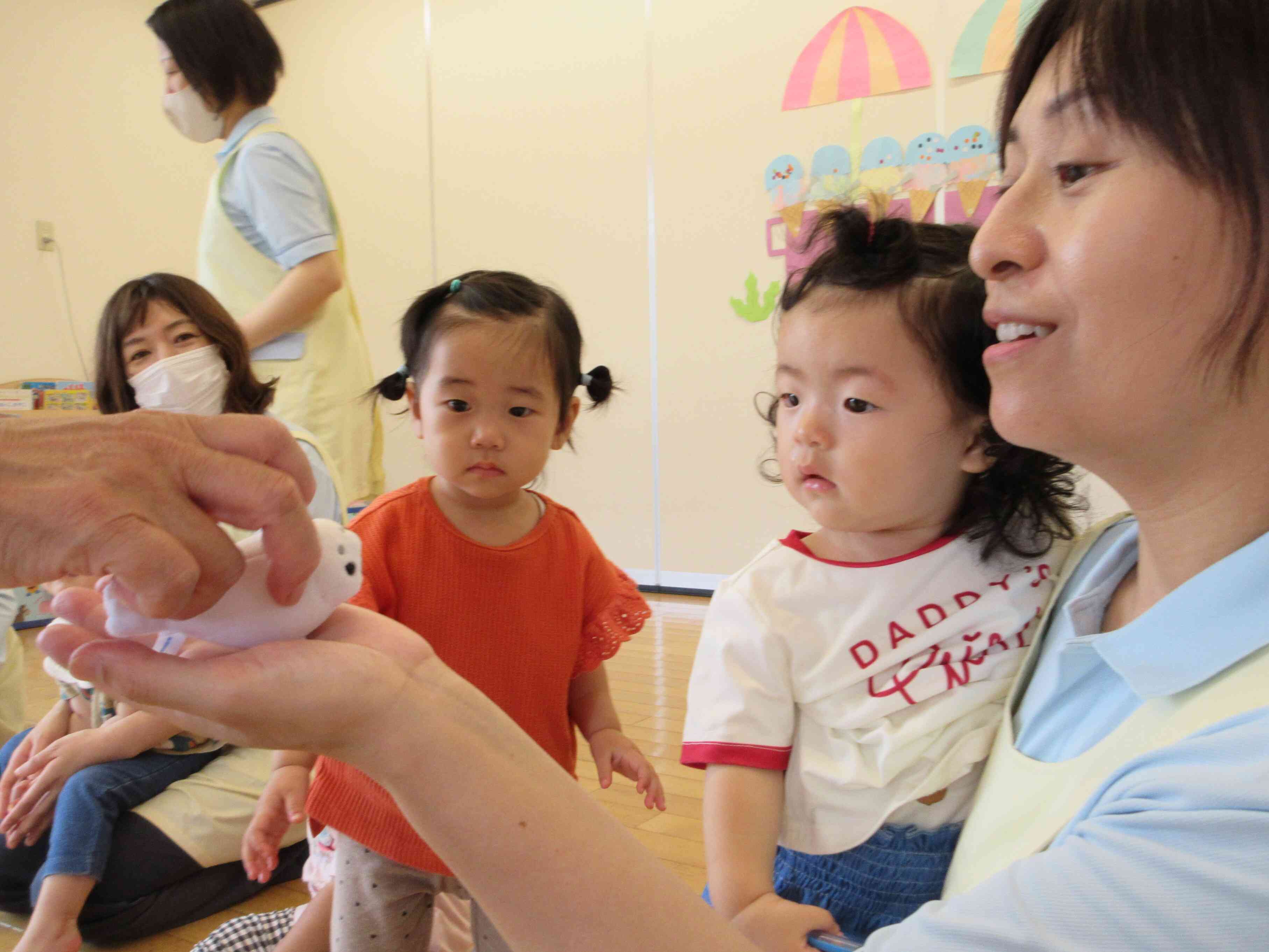 アザラシさんが出てきた！