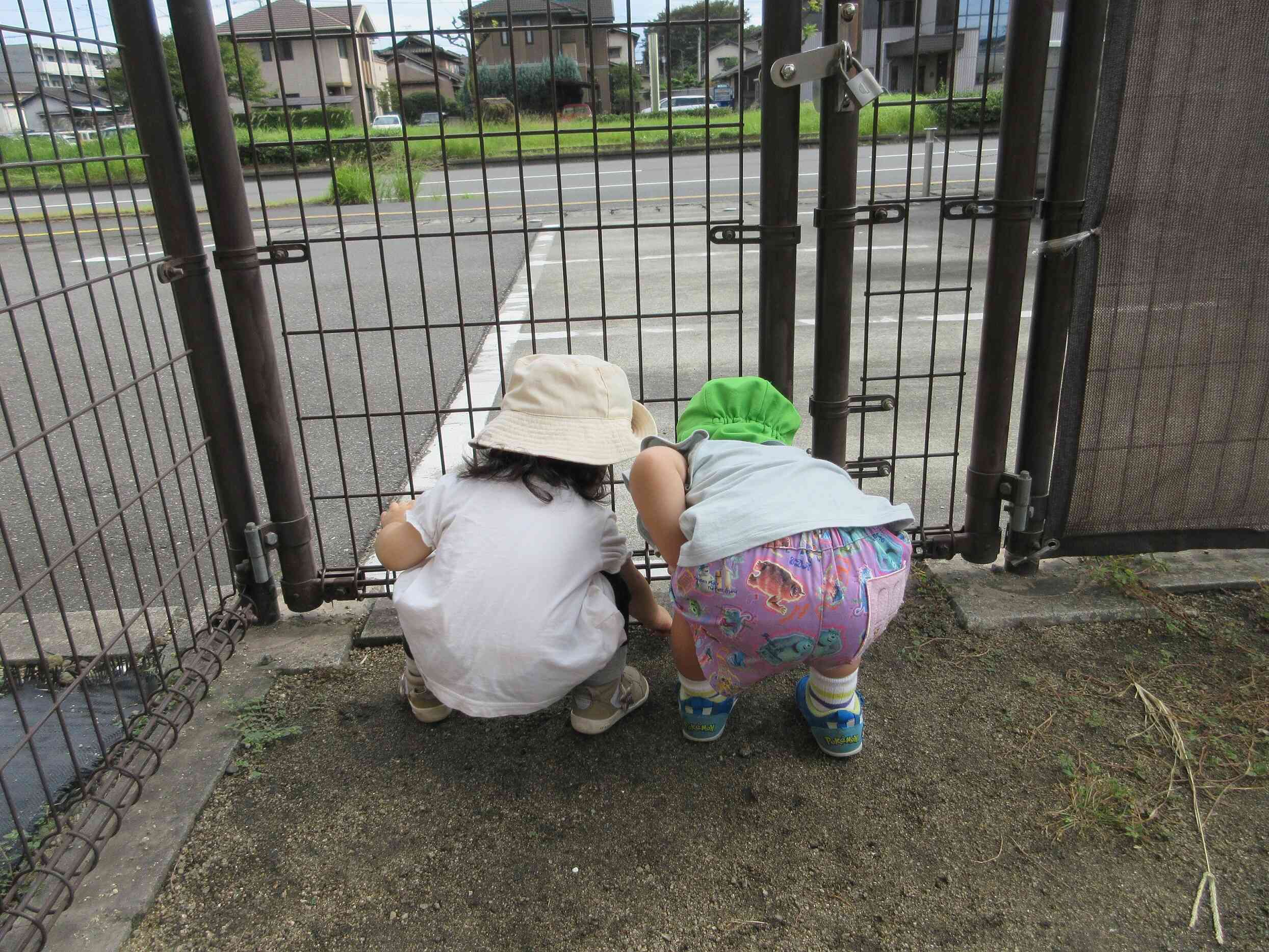 園庭で冒険しよう！